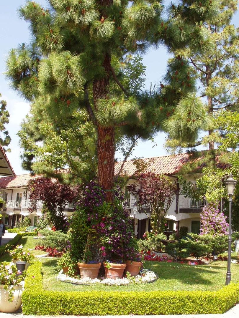 Laguna Hills Lodge