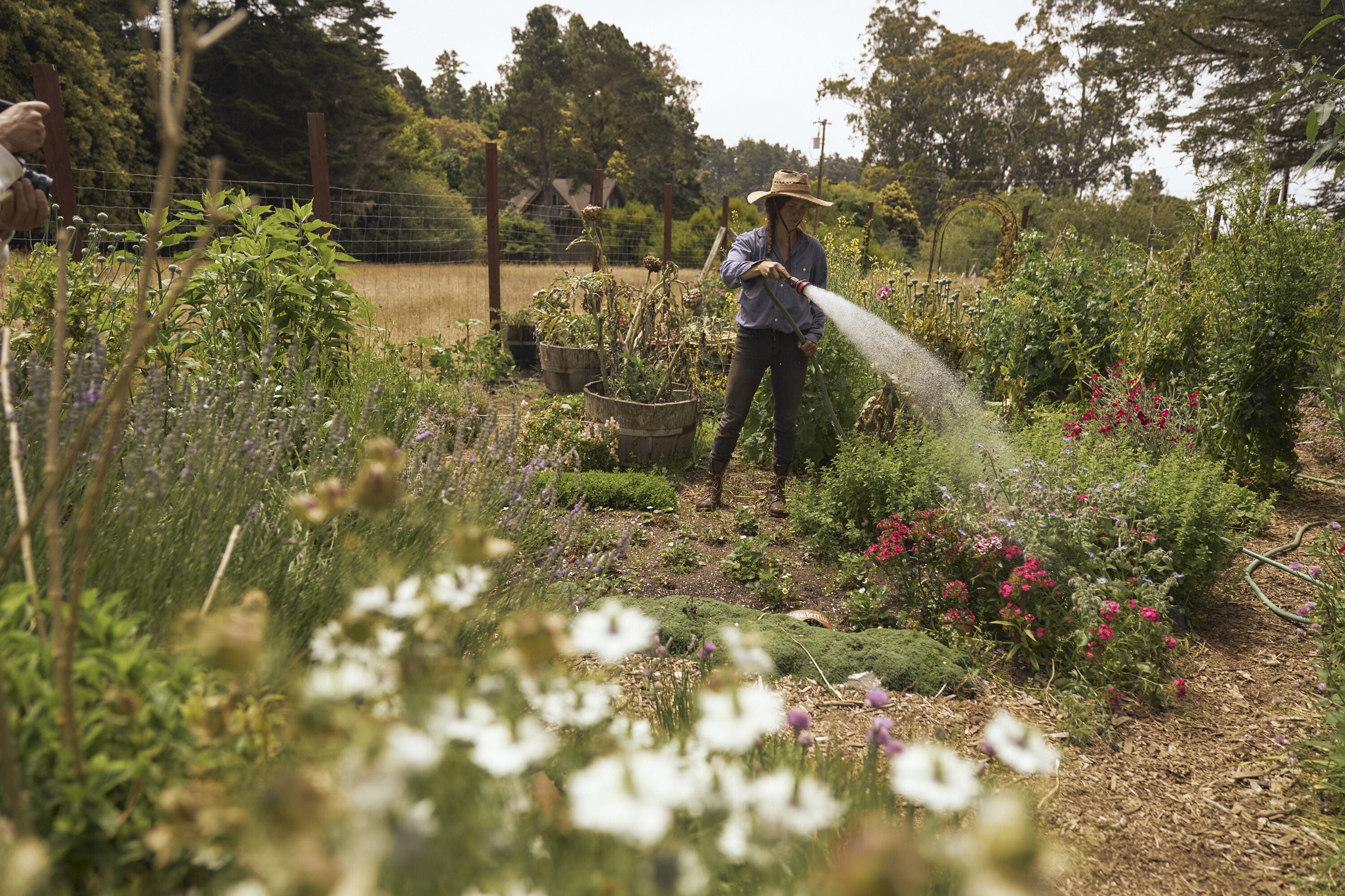 SCP Mendocino Inn and Farm
