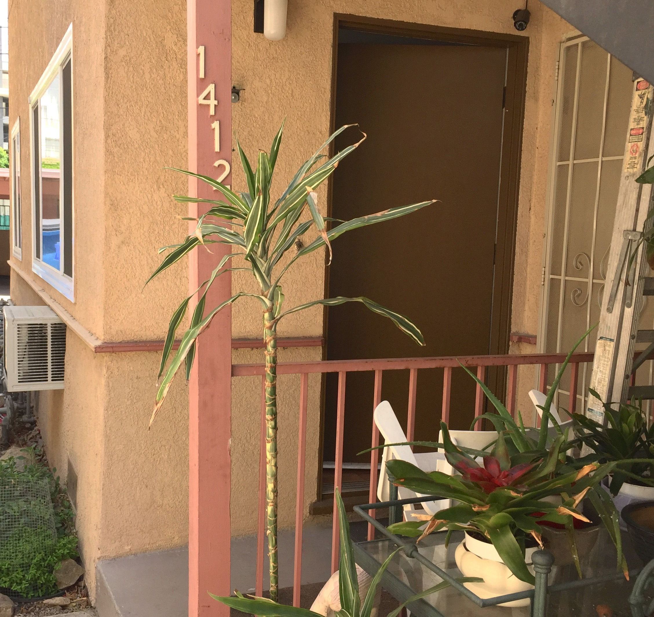 North Mansfield Avenue Apartments