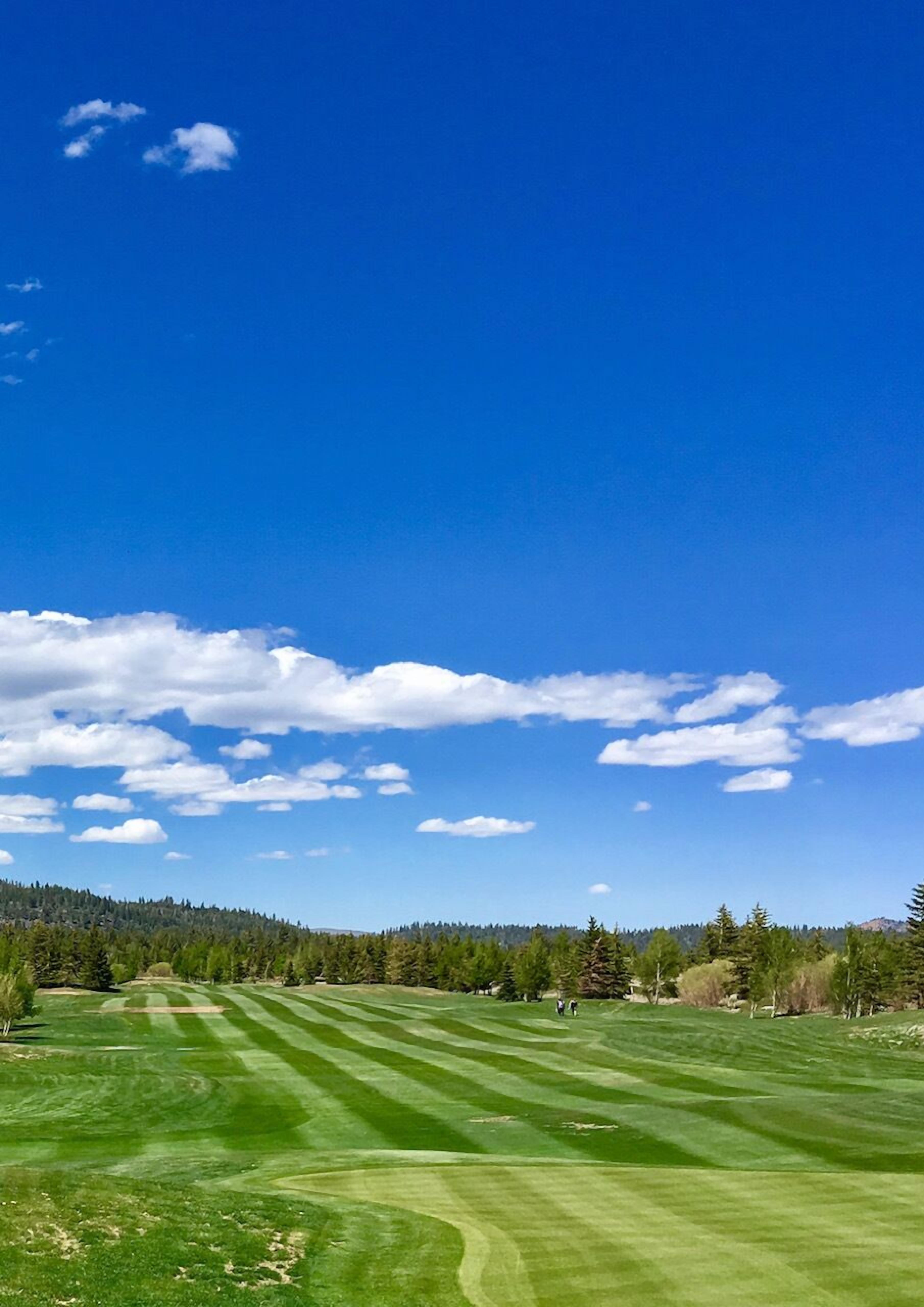 SnowCreek The Lodges