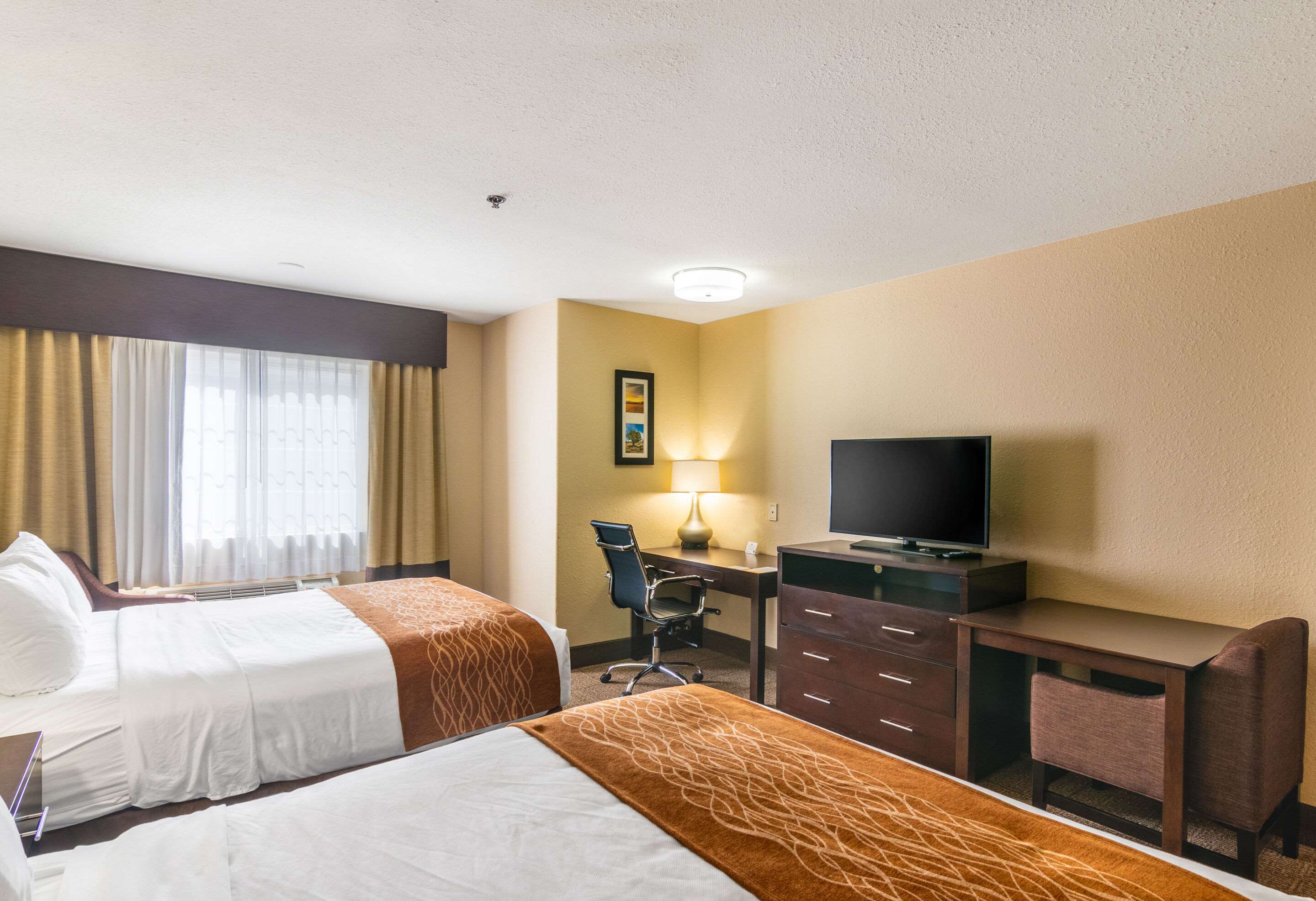 Comfort Inn & Suites