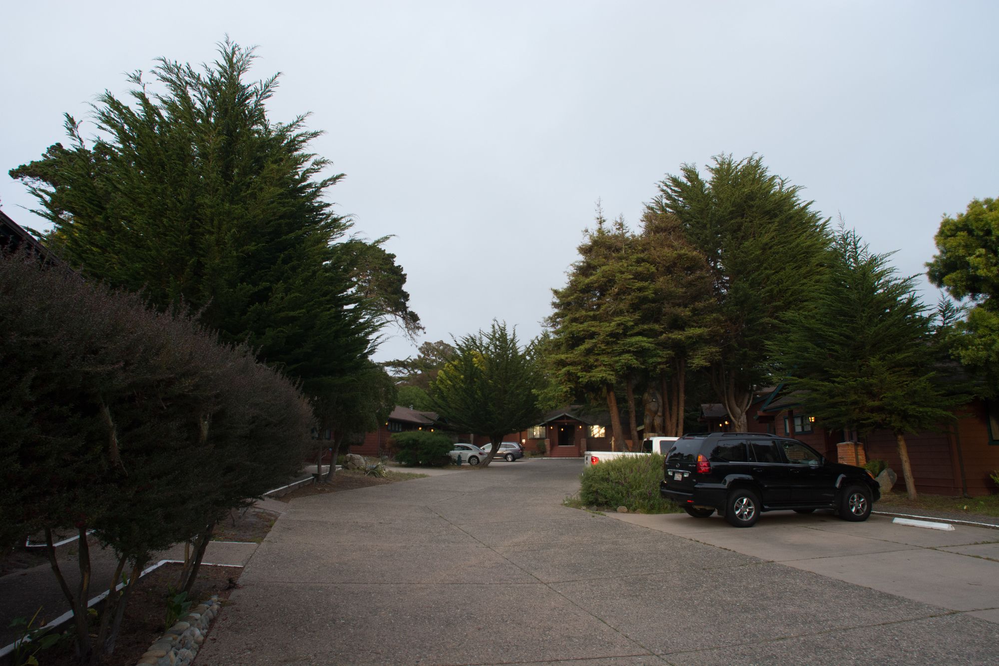 Rosedale Inn