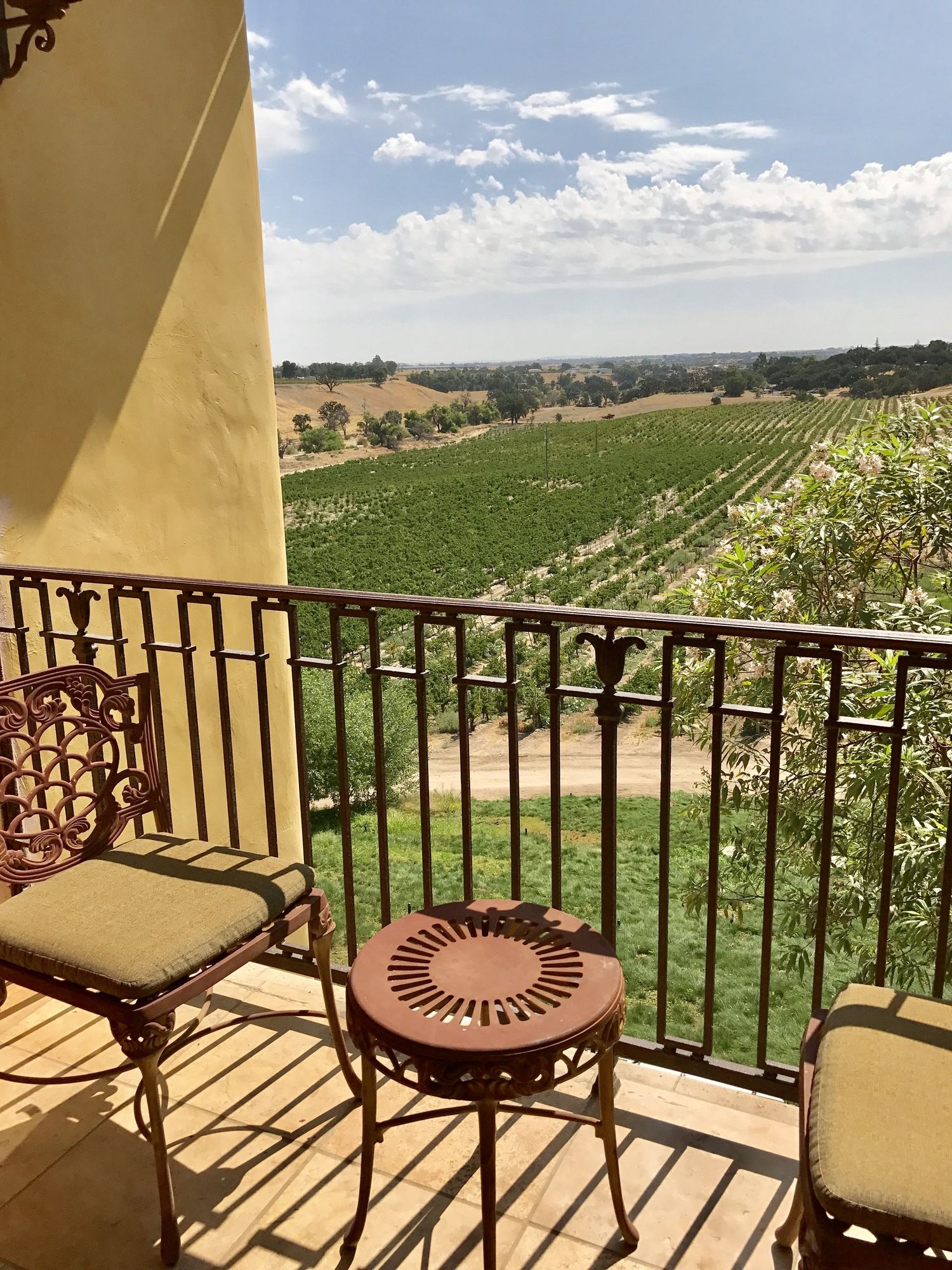 CaliPaso Winery & Villa