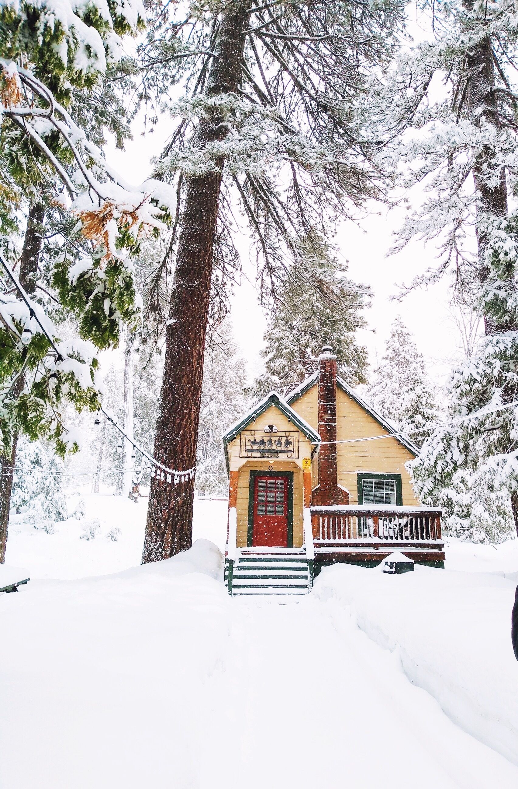 Shaver Lake Village Hotel