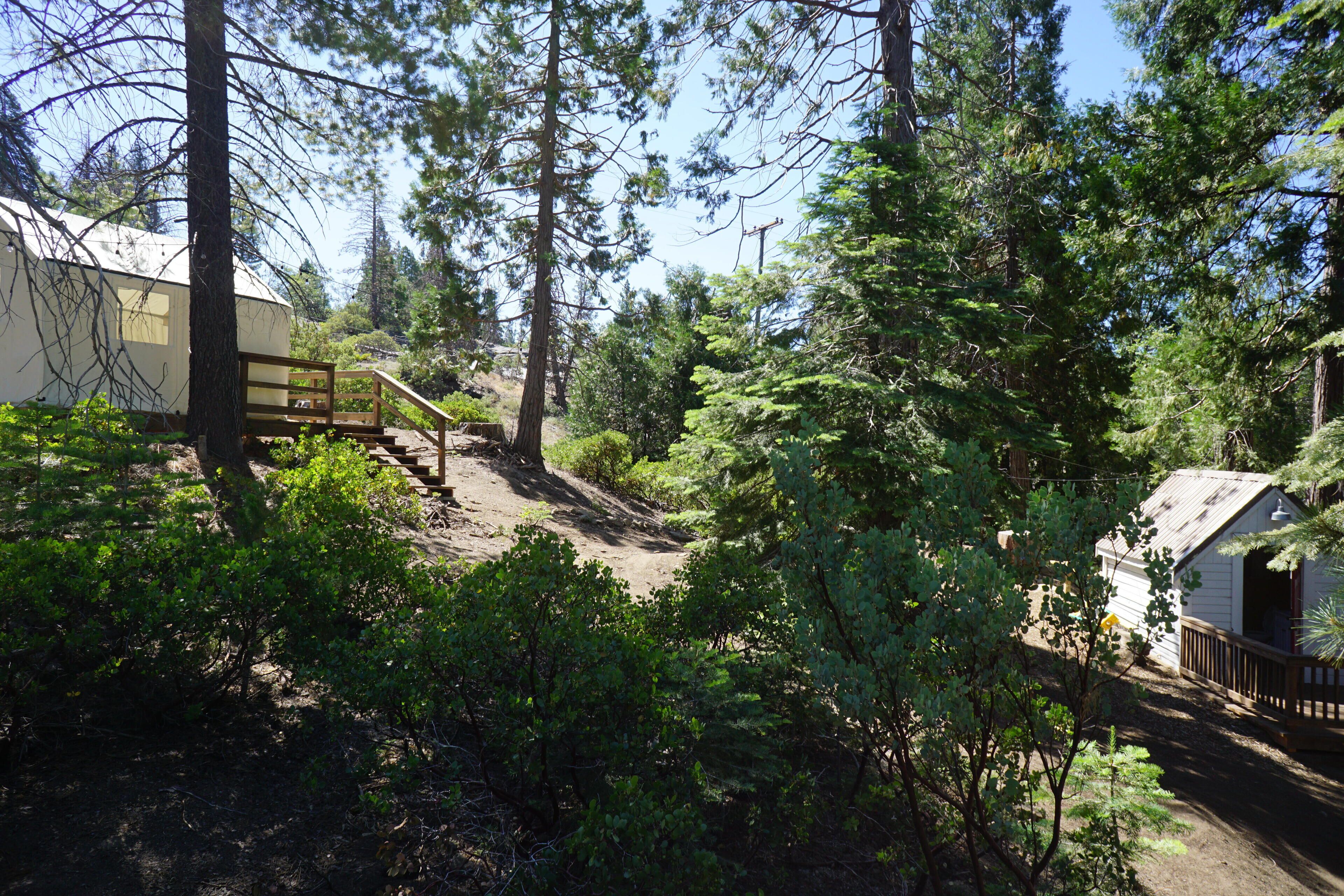 Shaver Lake Village Hotel