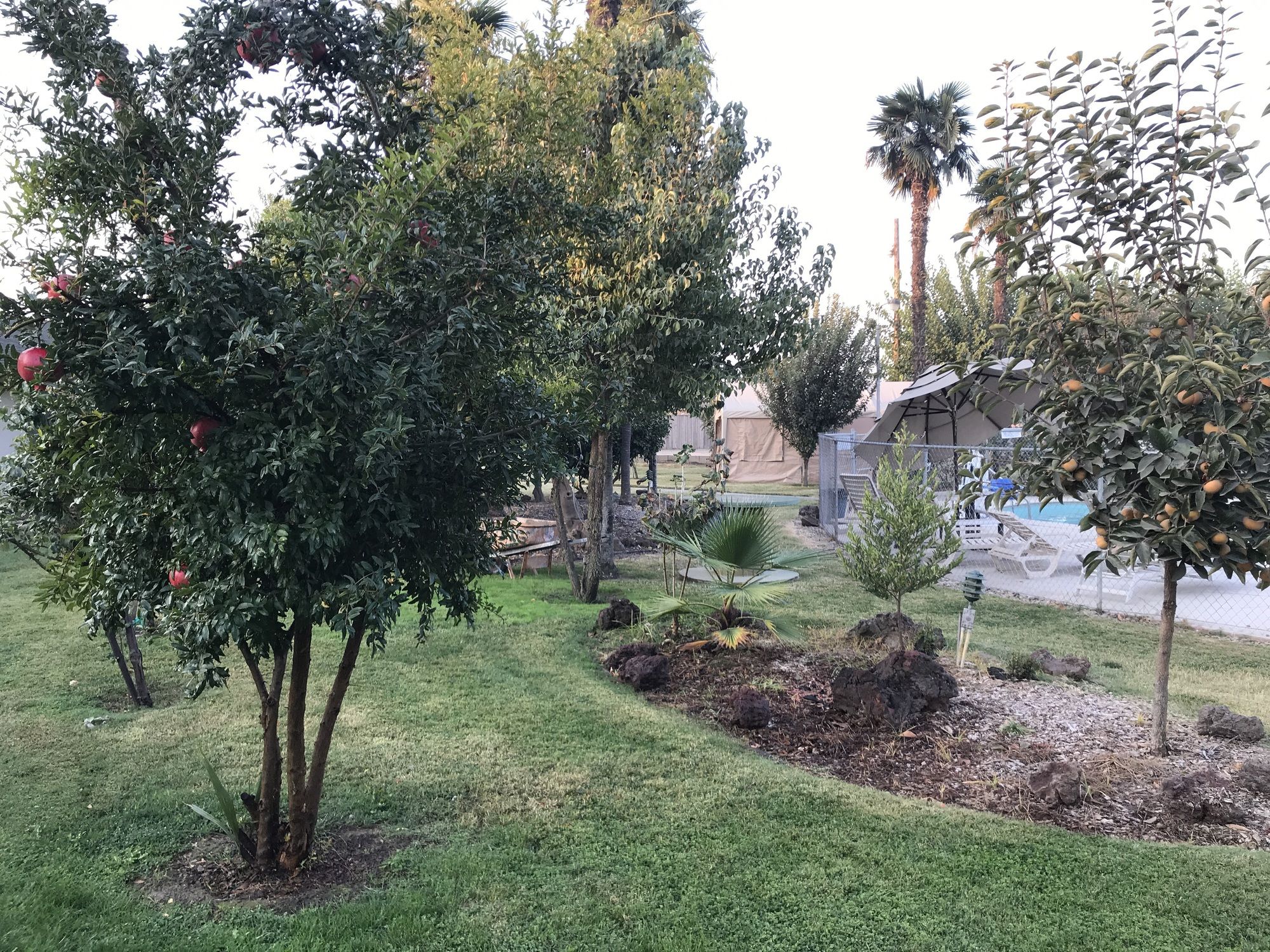 99 Palms Inn & Suites