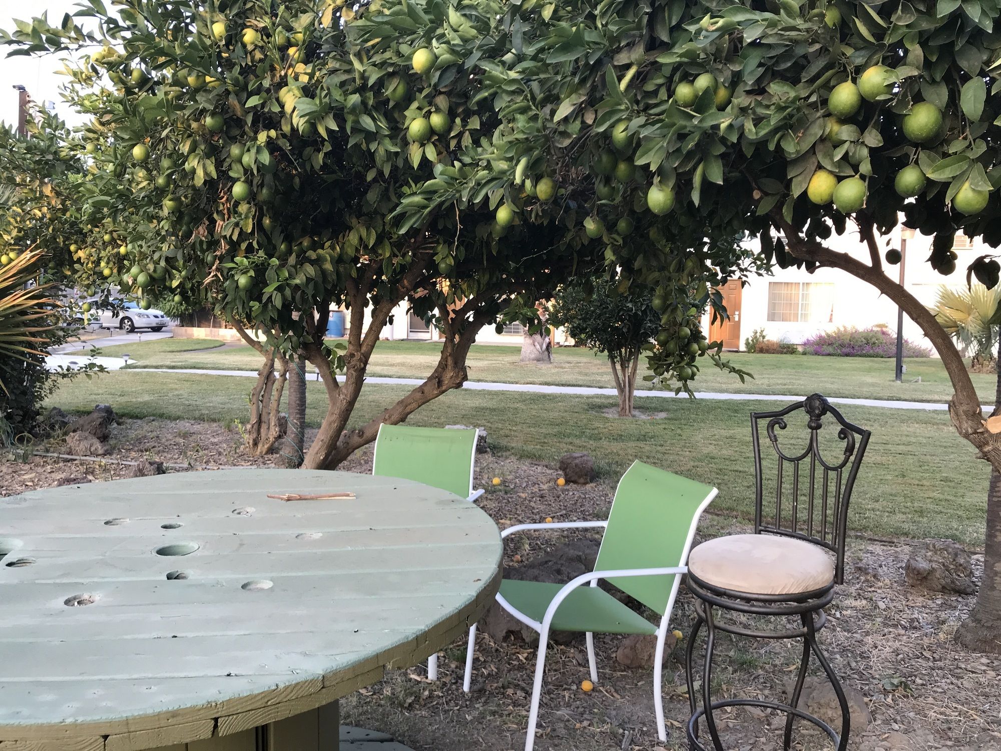 99 Palms Inn & Suites