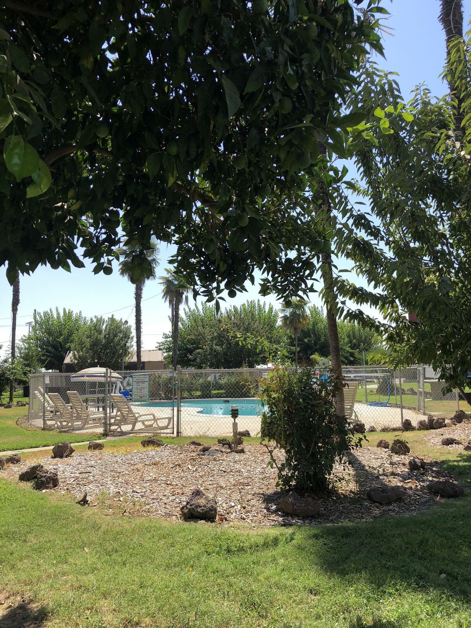 99 Palms Inn & Suites
