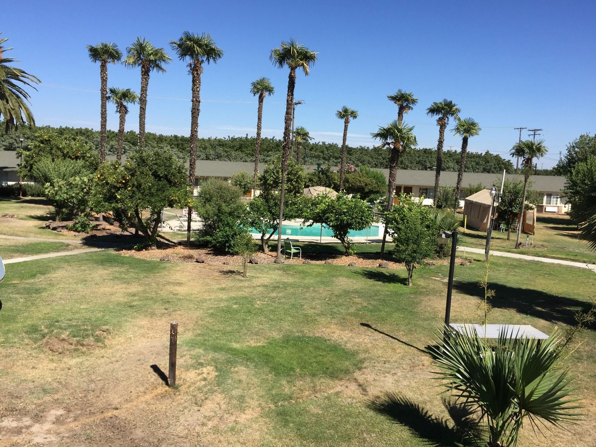 99 Palms Inn & Suites
