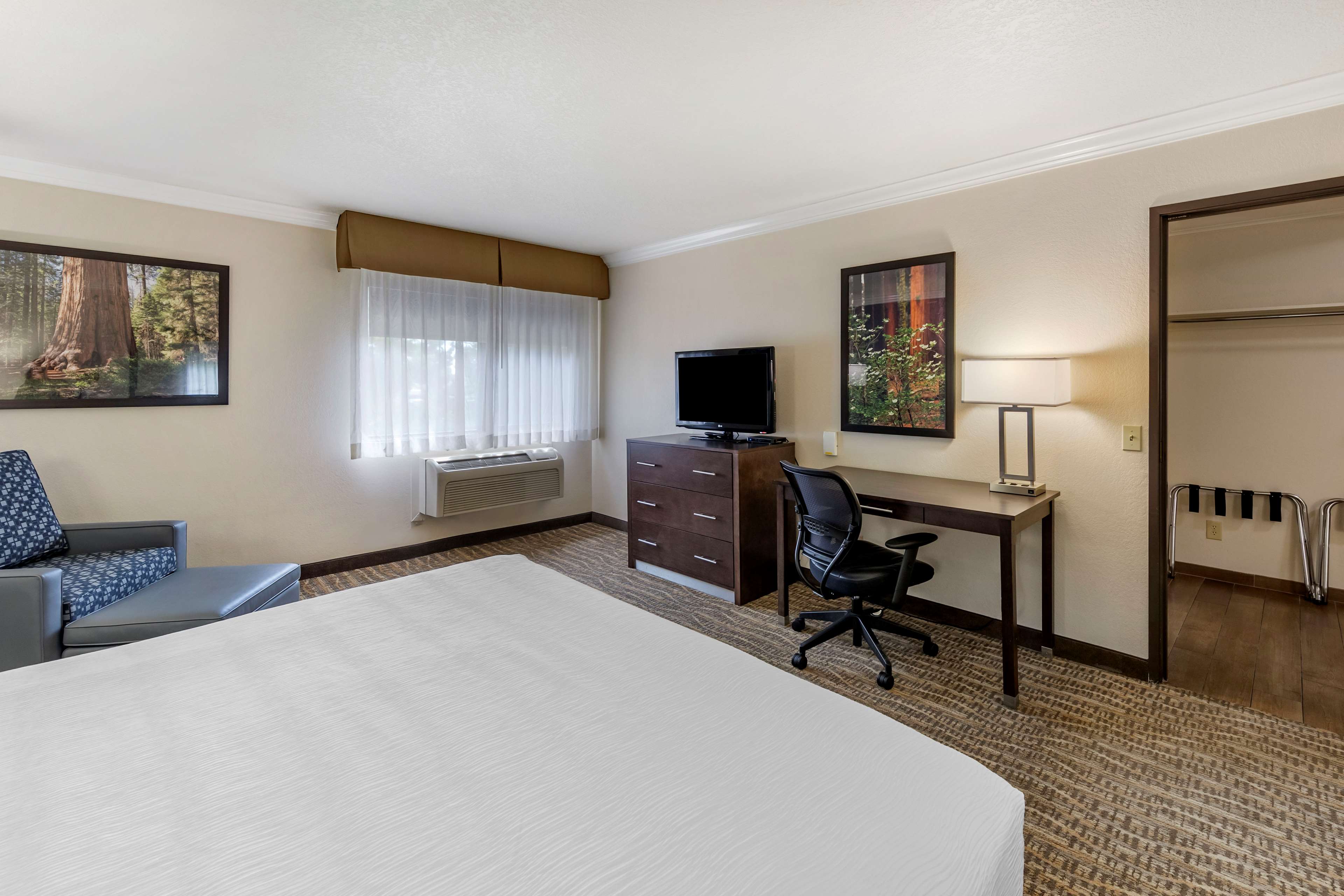 Best Western Town & Country Lodge