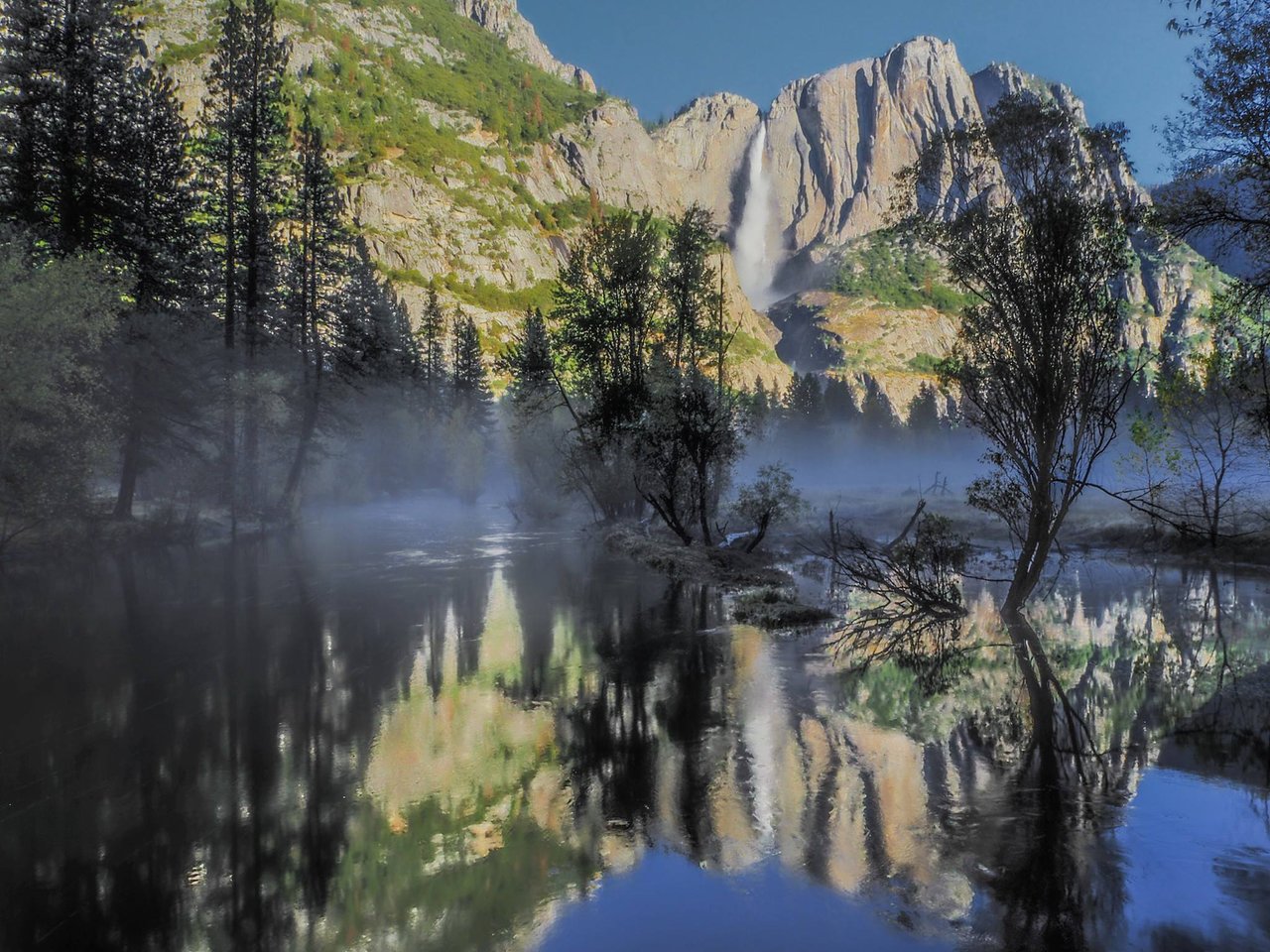 The Redwoods in Yosemite