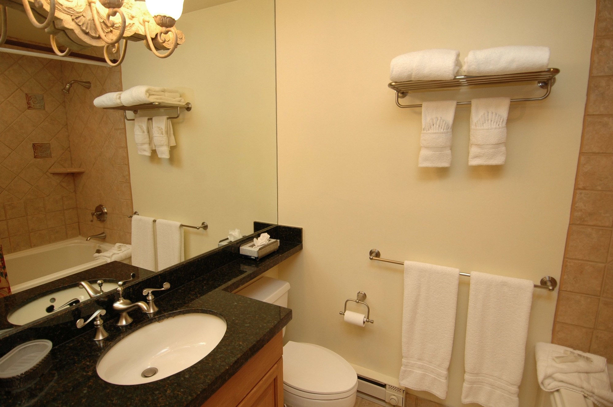 Chateau Roaring Fork