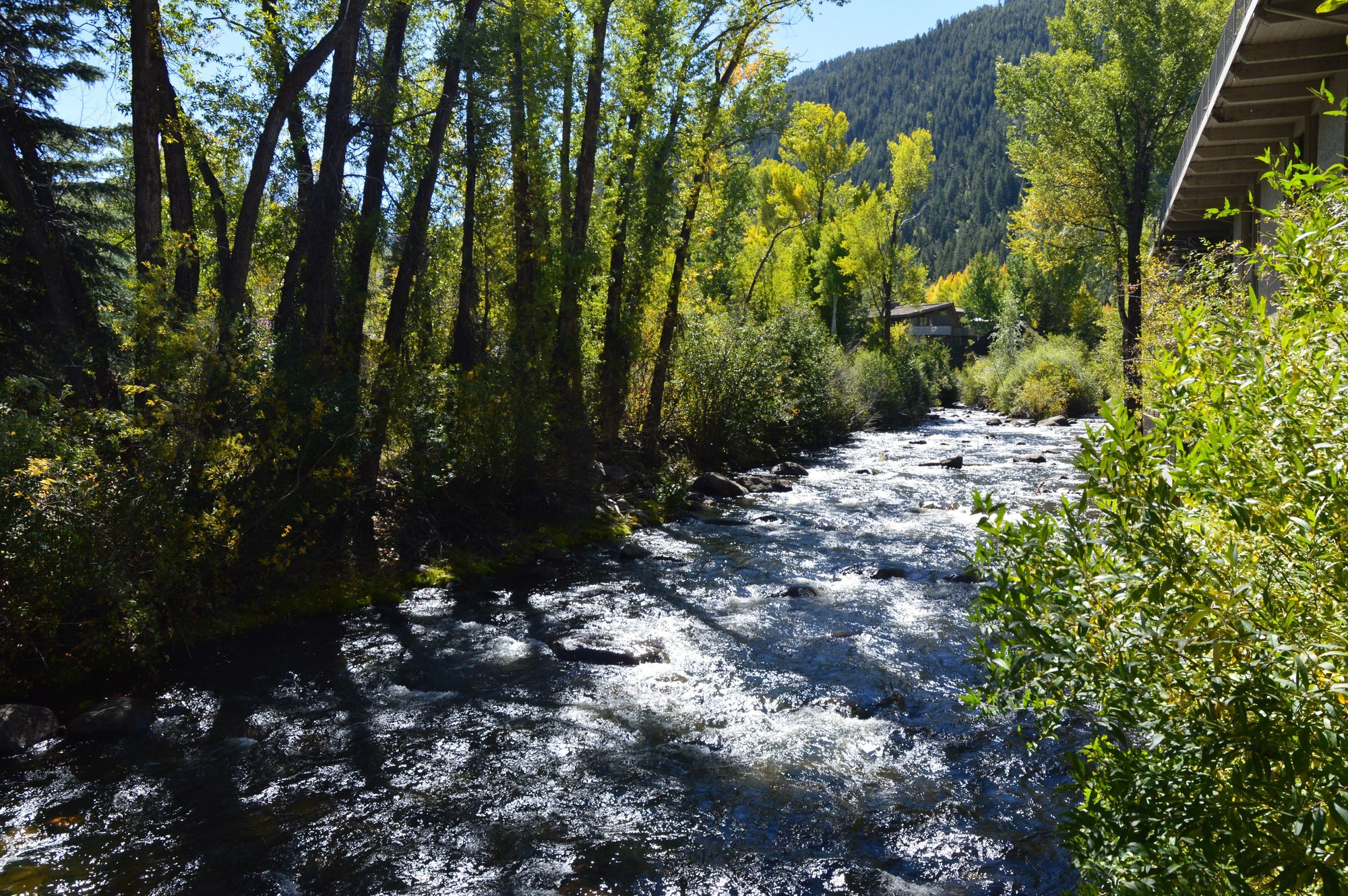 Chateau Roaring Fork