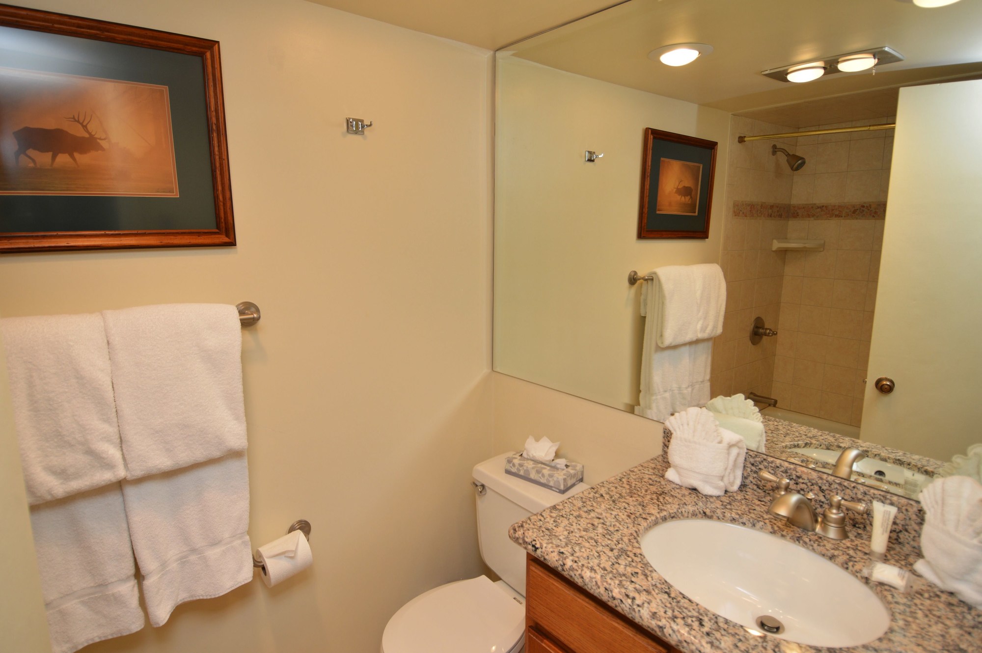 Chateau Roaring Fork