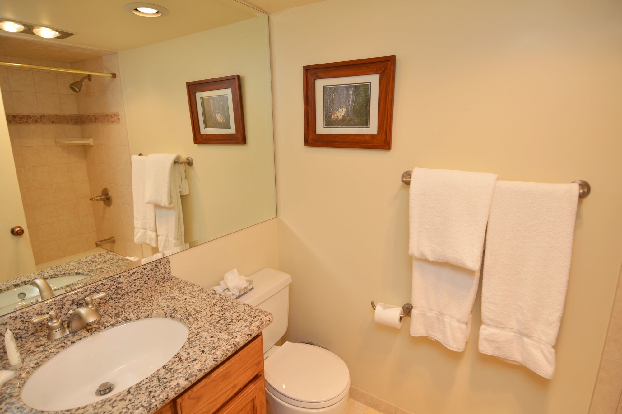 Chateau Roaring Fork
