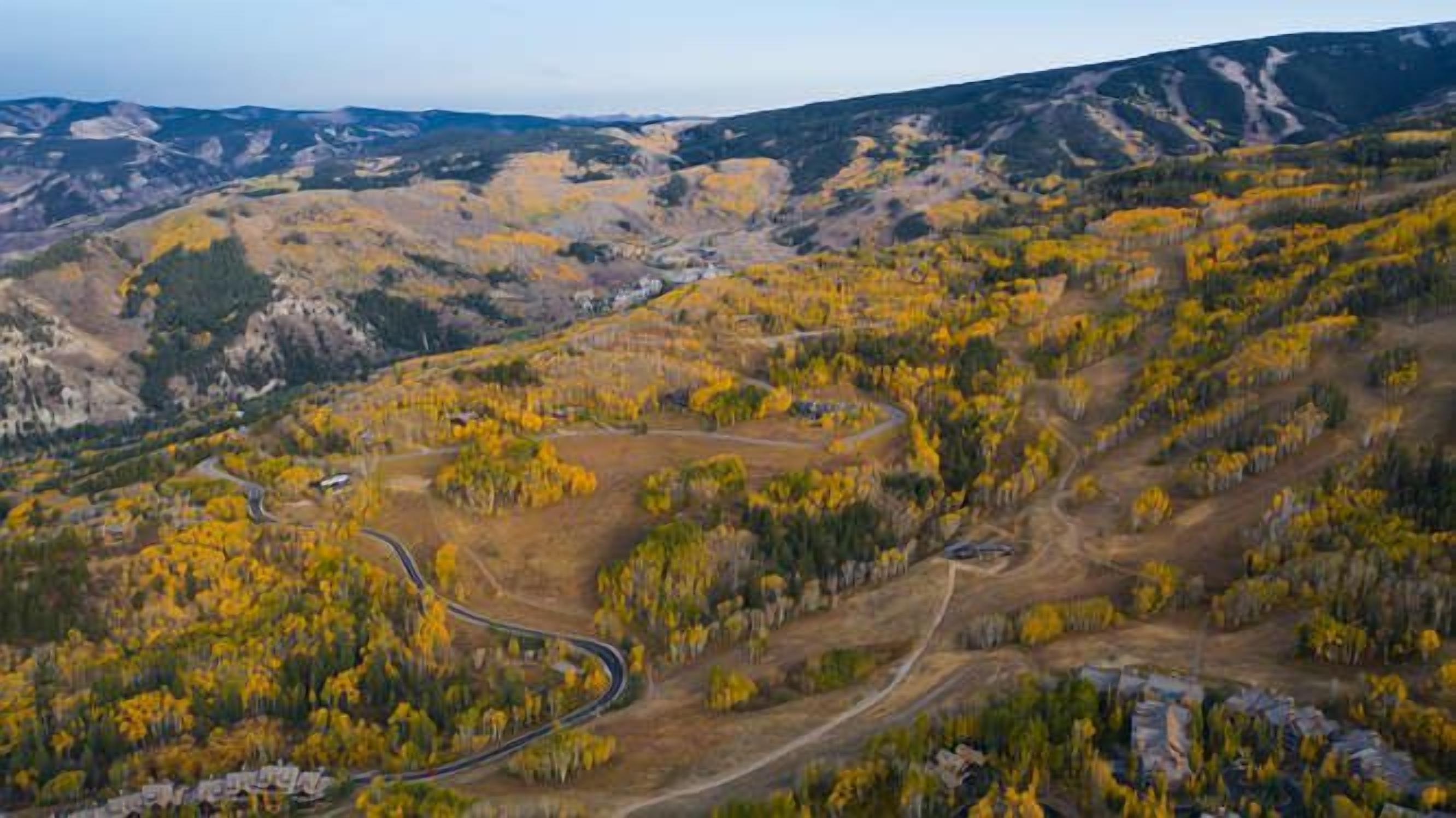 Snowberry by Elevation Accommodations