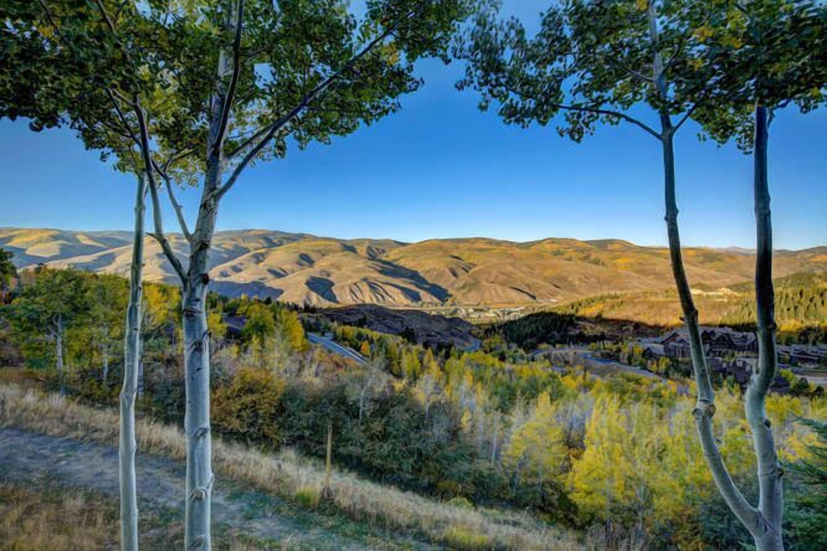 Snowberry by Elevation Accommodations
