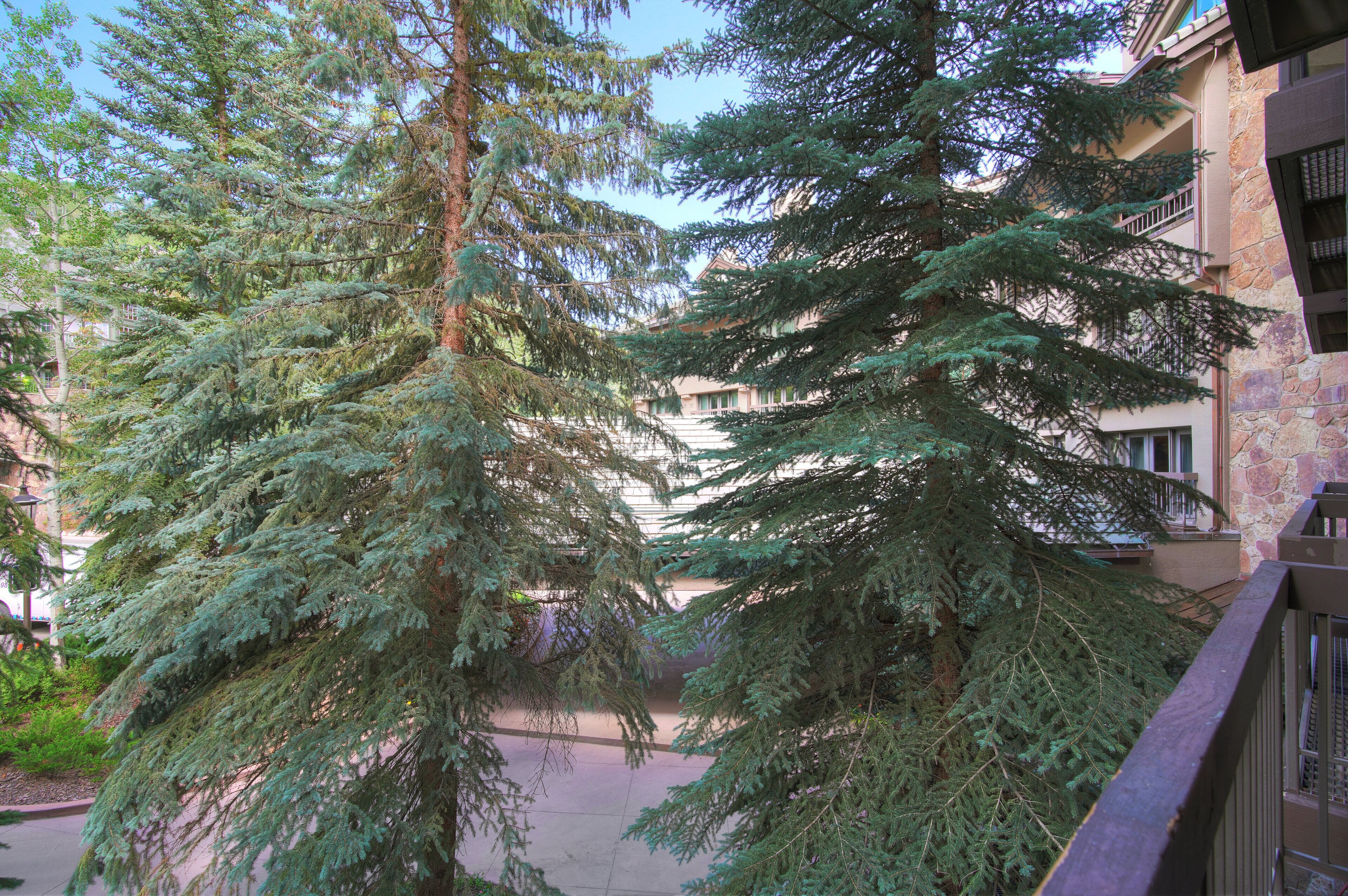 The Pines Lodge