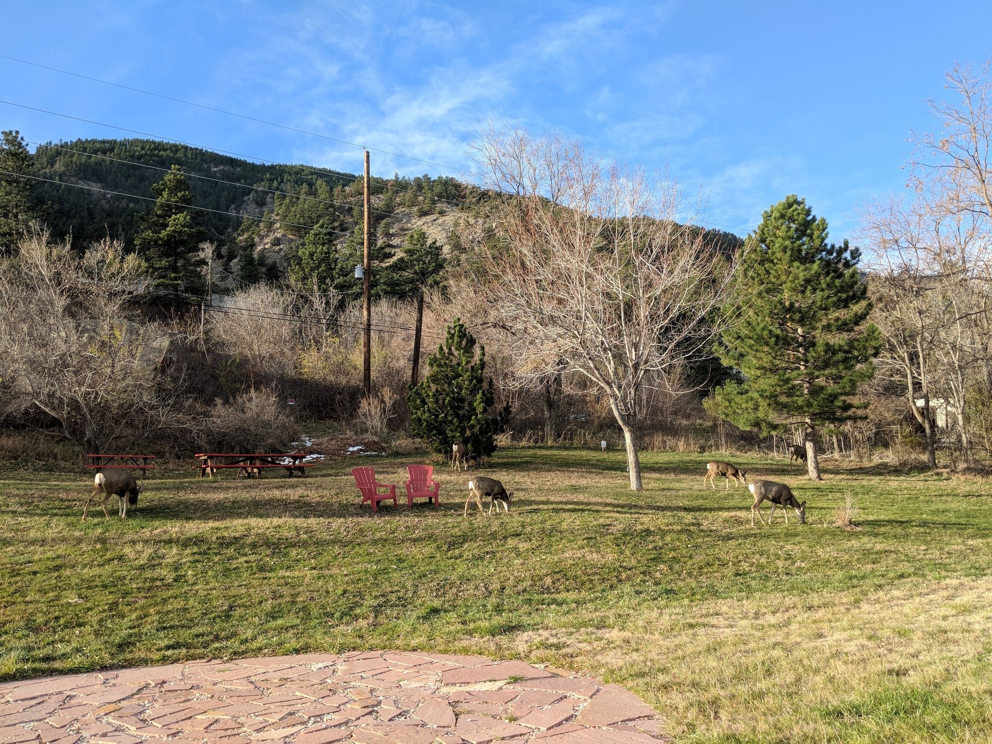 Foot Of The Mountain Motel