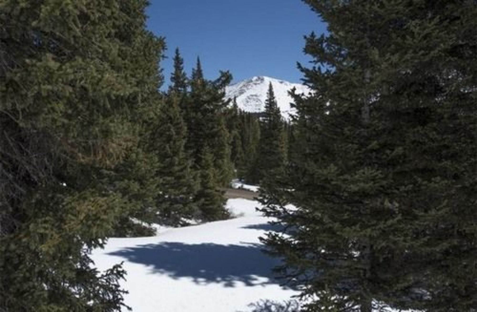 Chalet Elevation