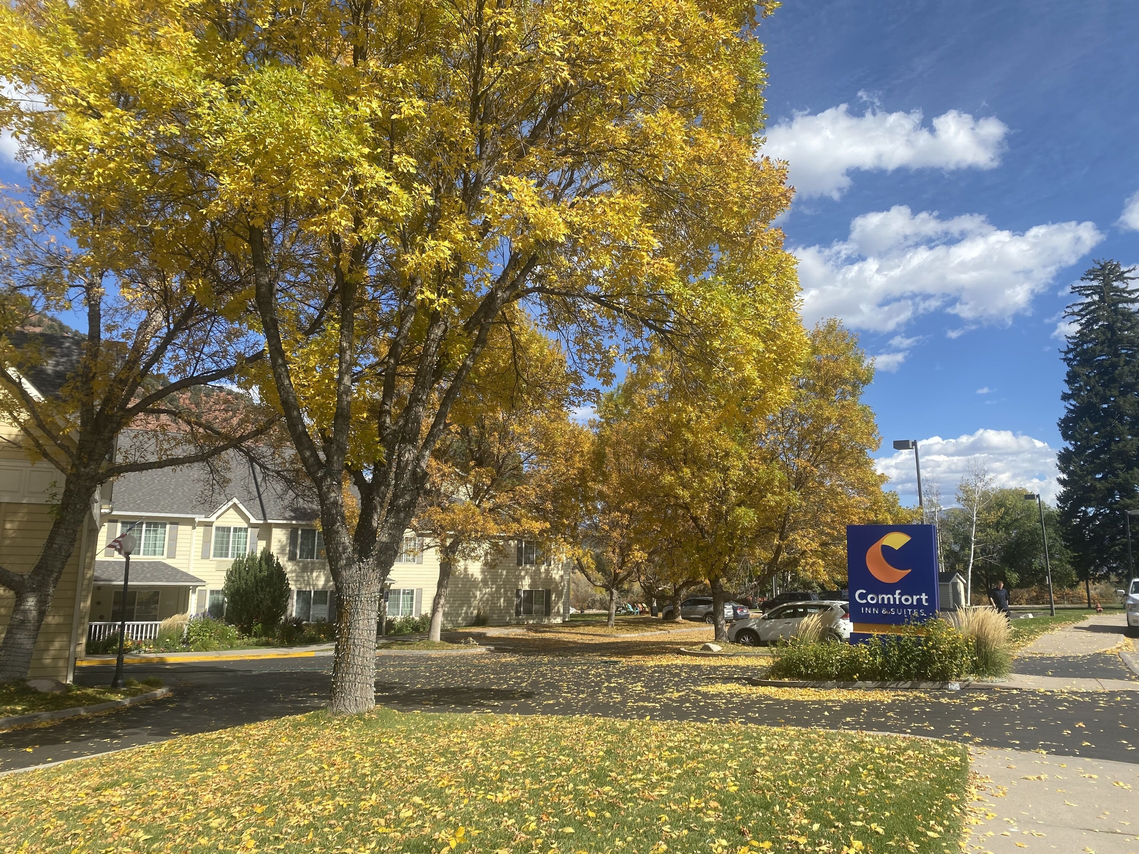 Comfort Inn & Suites