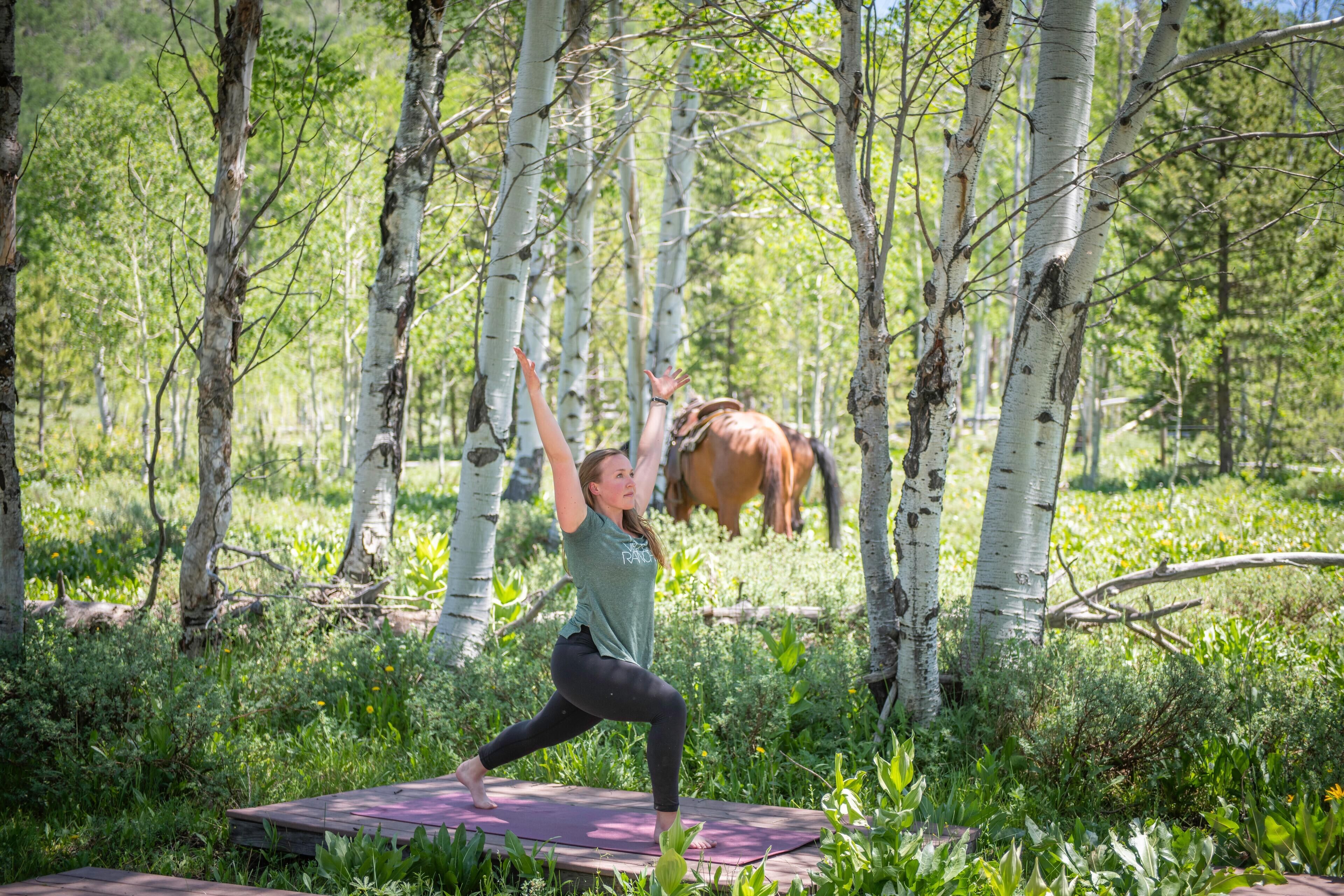 Vista Verde Ranch