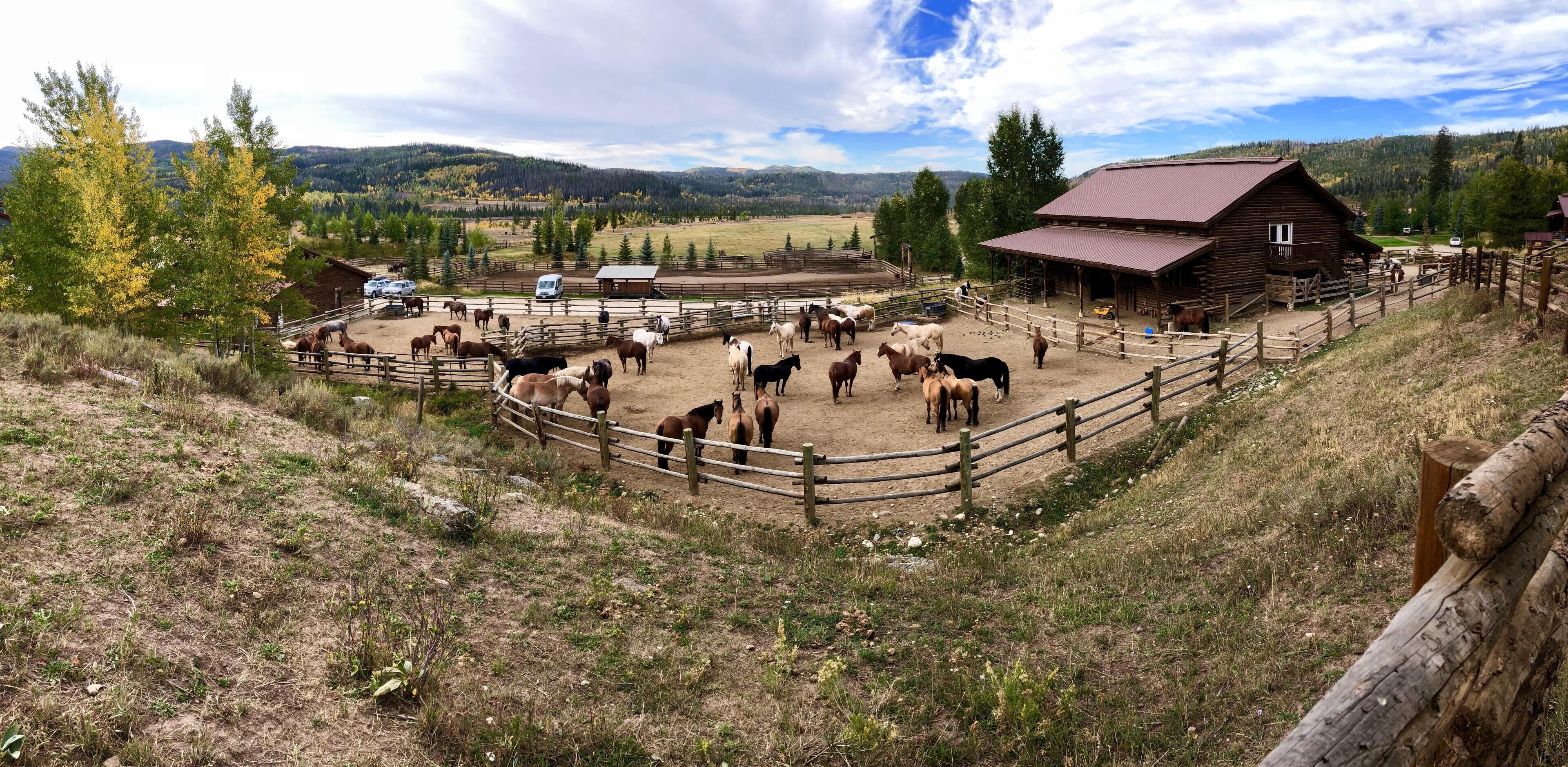 Vista Verde Ranch