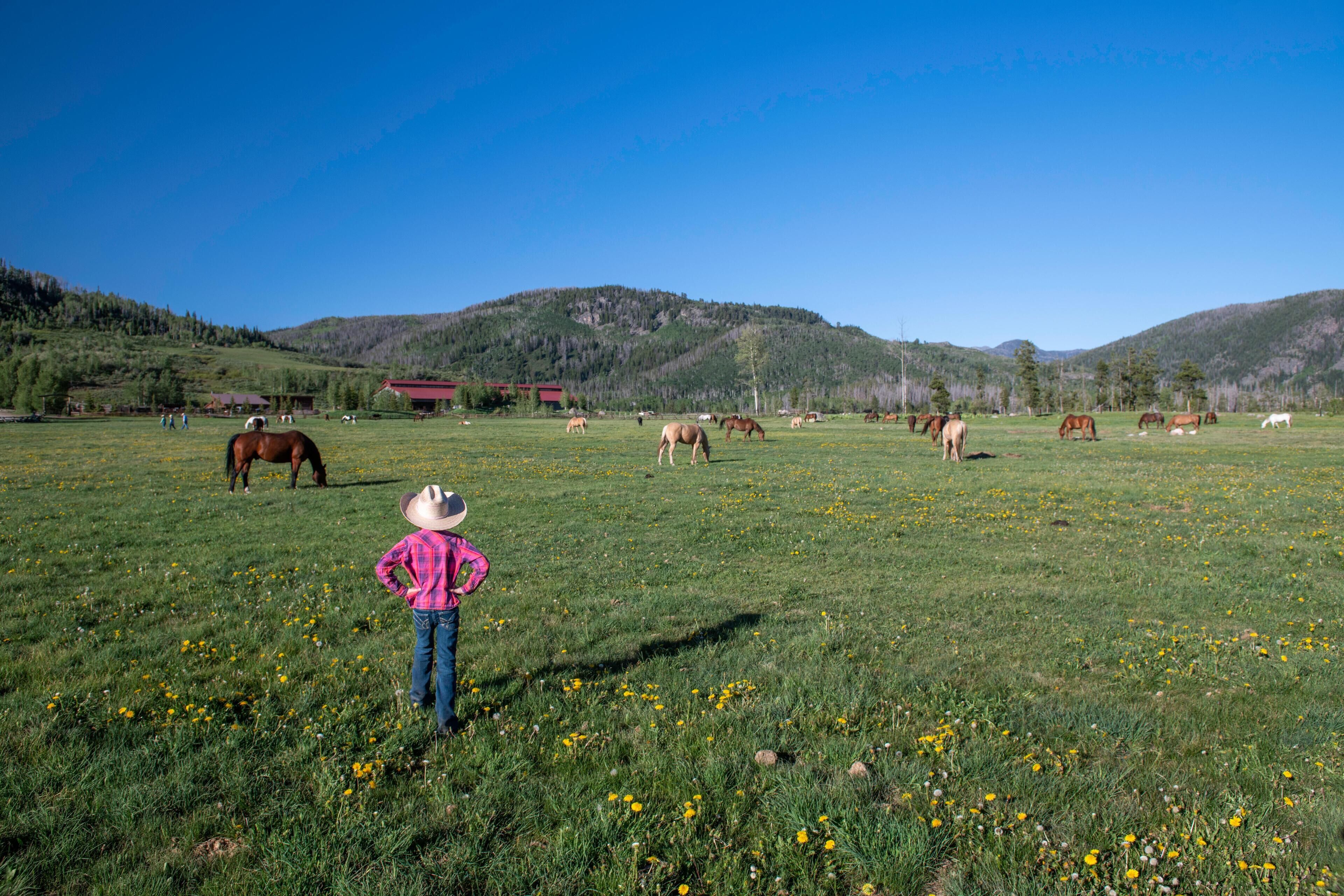 Vista Verde Ranch