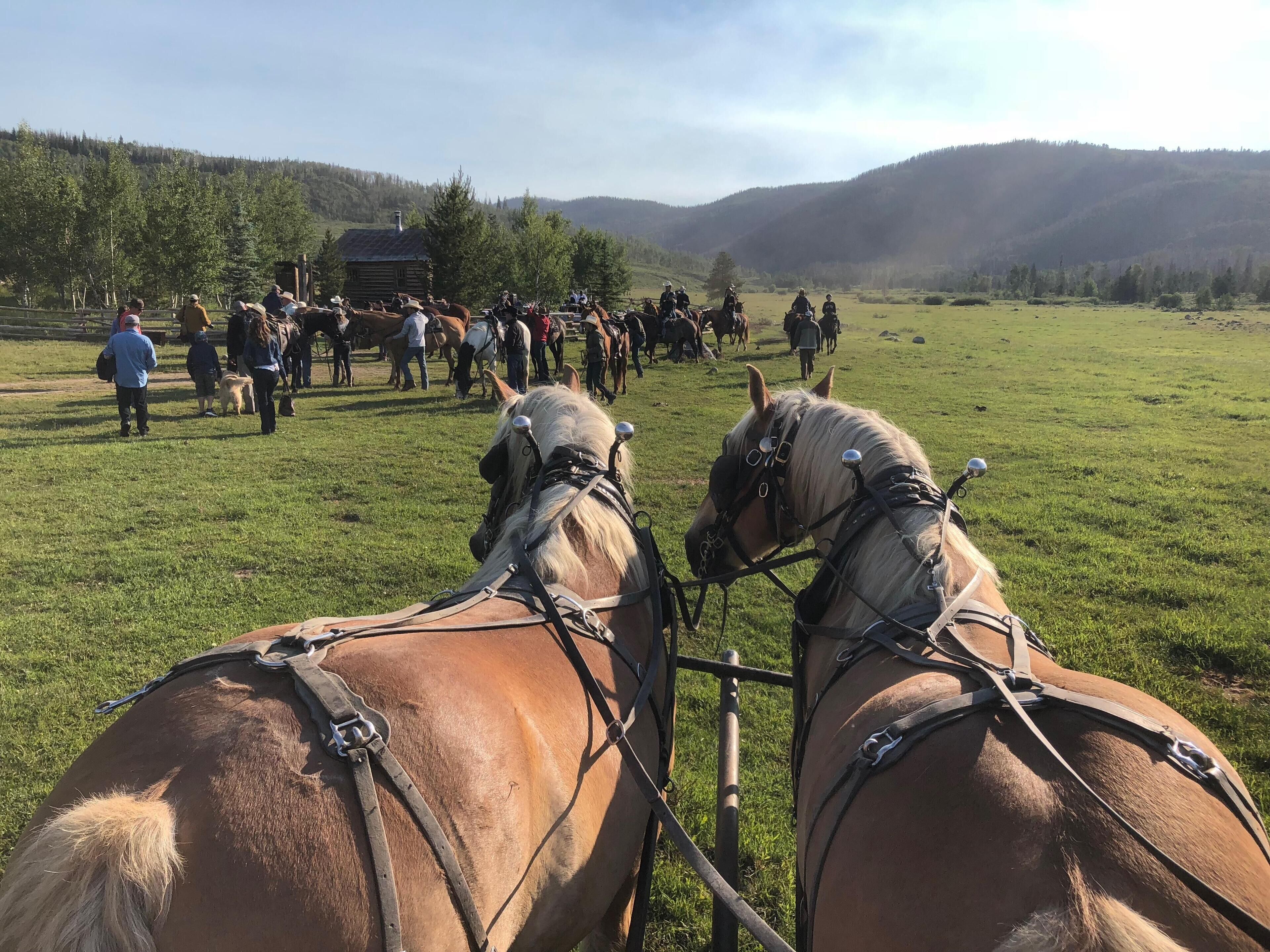 Vista Verde Ranch