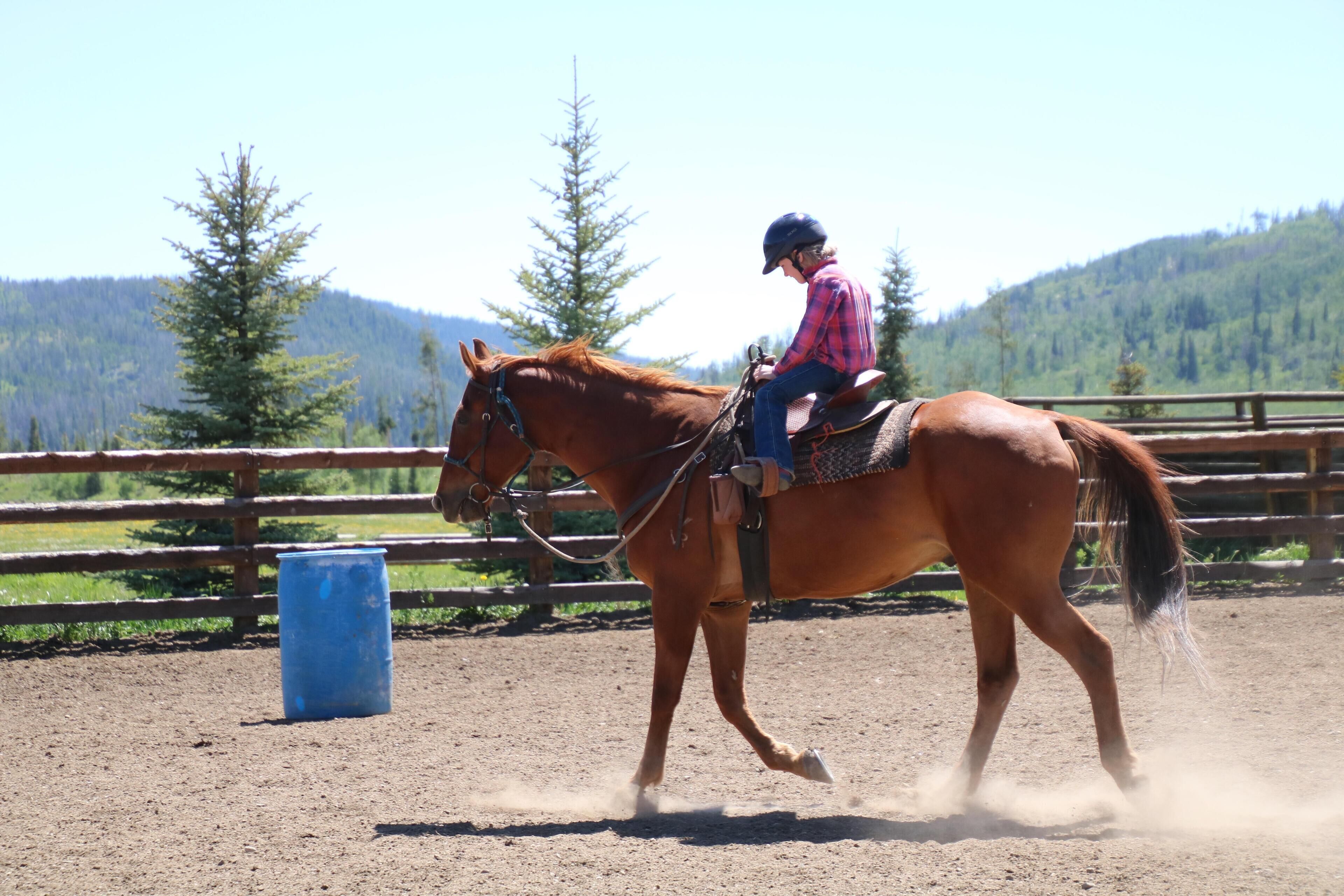 Vista Verde Ranch