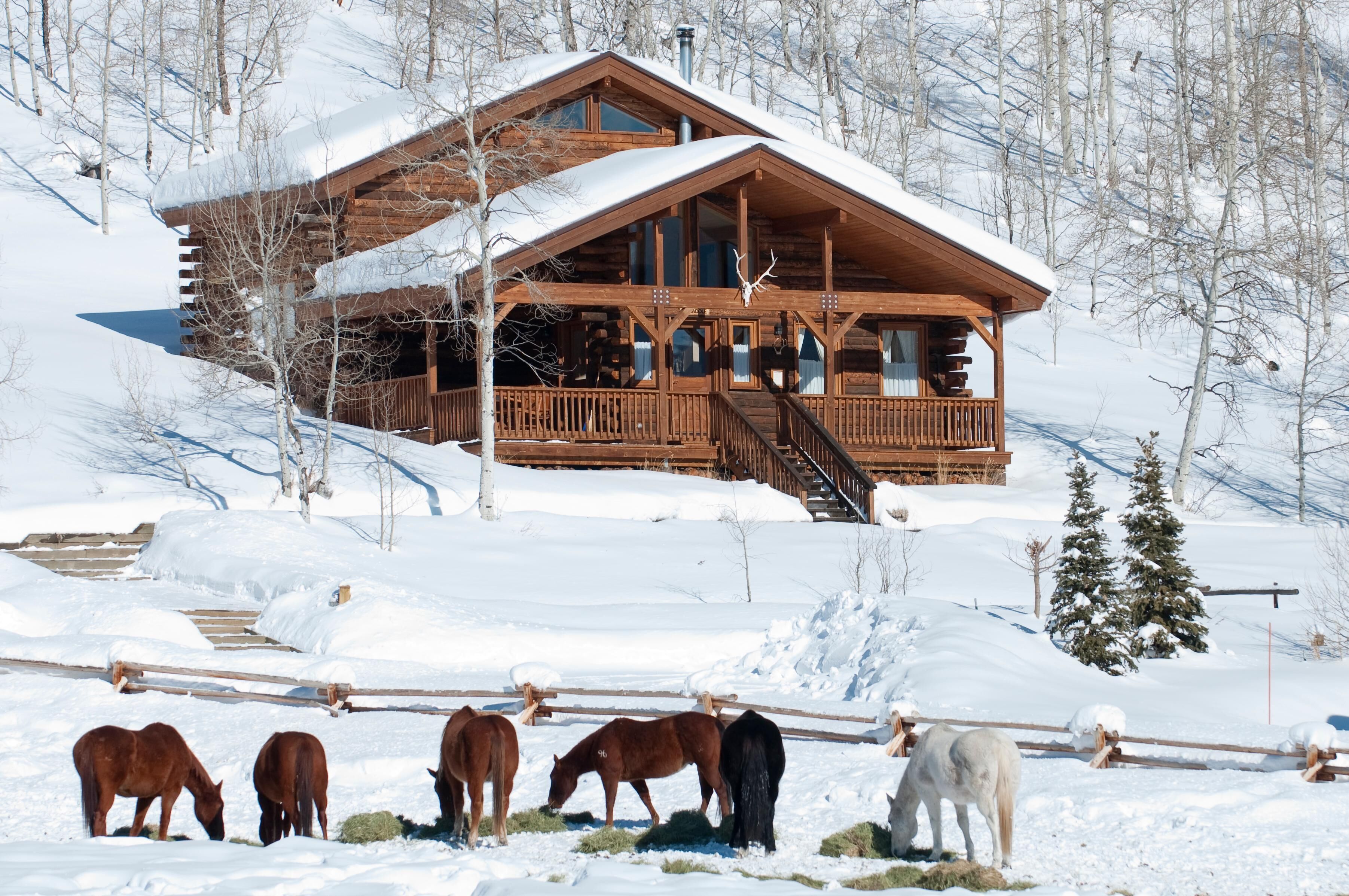 Vista Verde Ranch