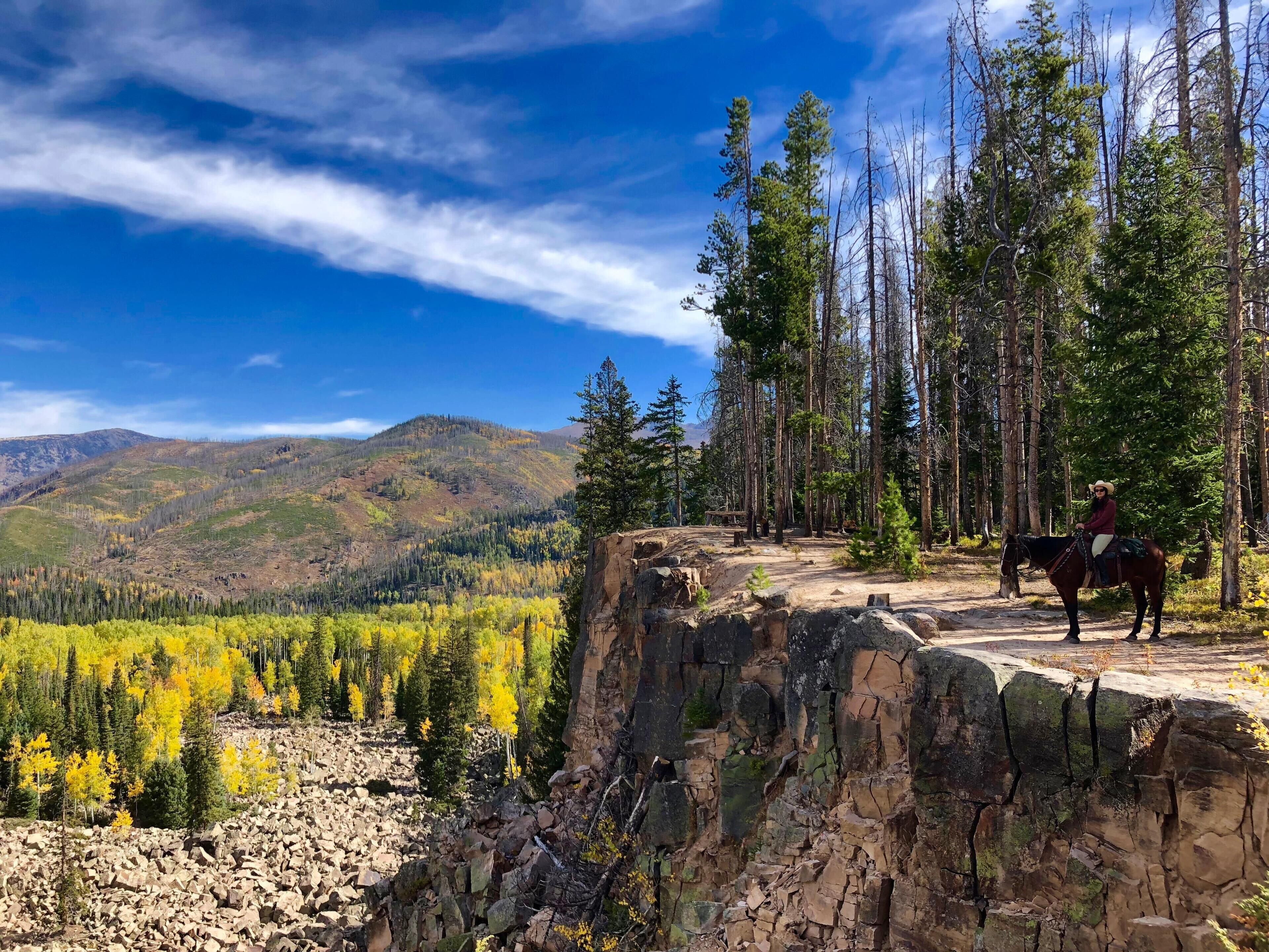 Vista Verde Ranch