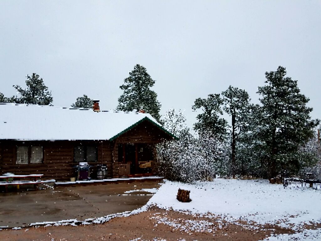 Black Forest B&B Lodge & Cabins