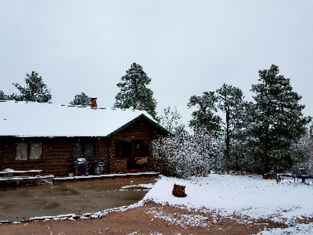 Black Forest B&B Lodge & Cabins