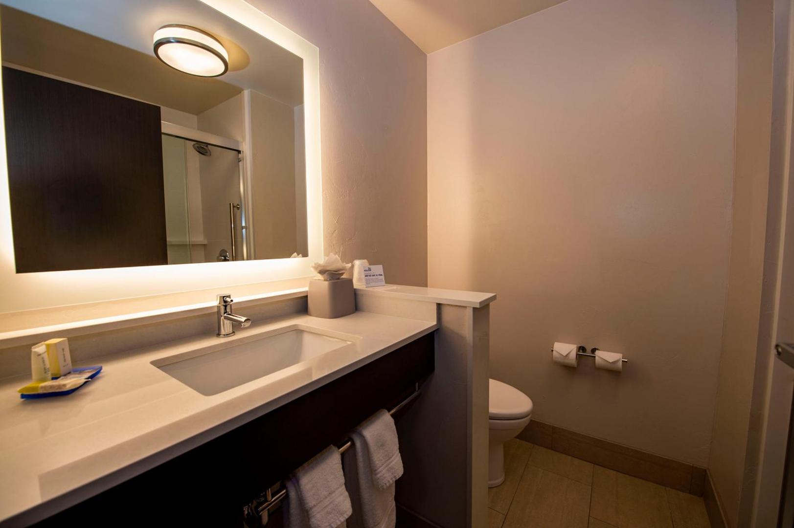 Holiday Inn Express & Suites Colorado Springs AFA Northgate