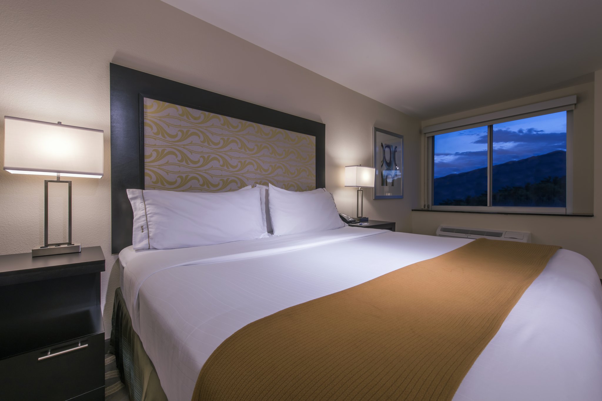 Holiday Inn Express & Suites Colorado Springs Central