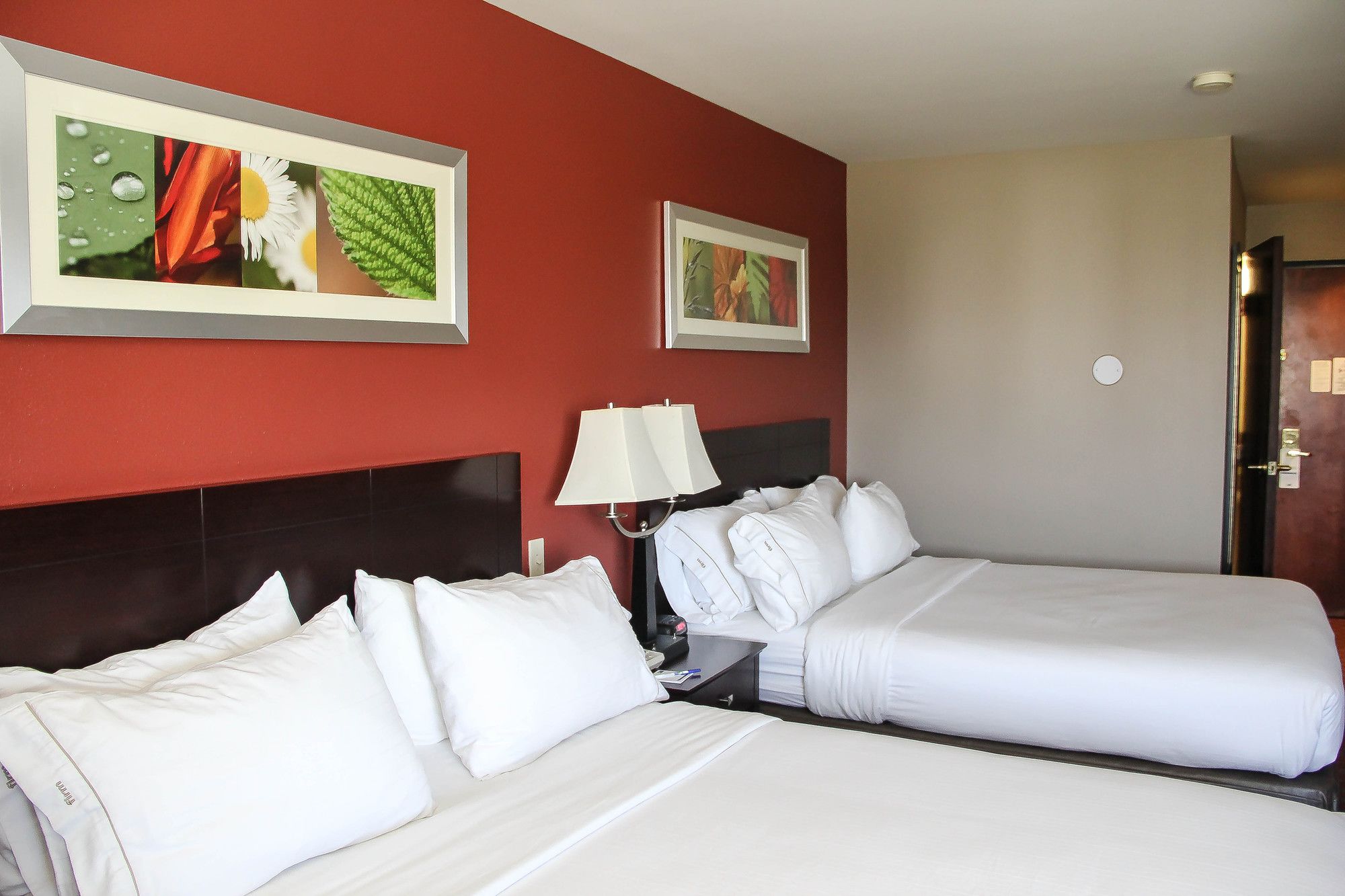 Holiday Inn Express Colorado Springs Airport
