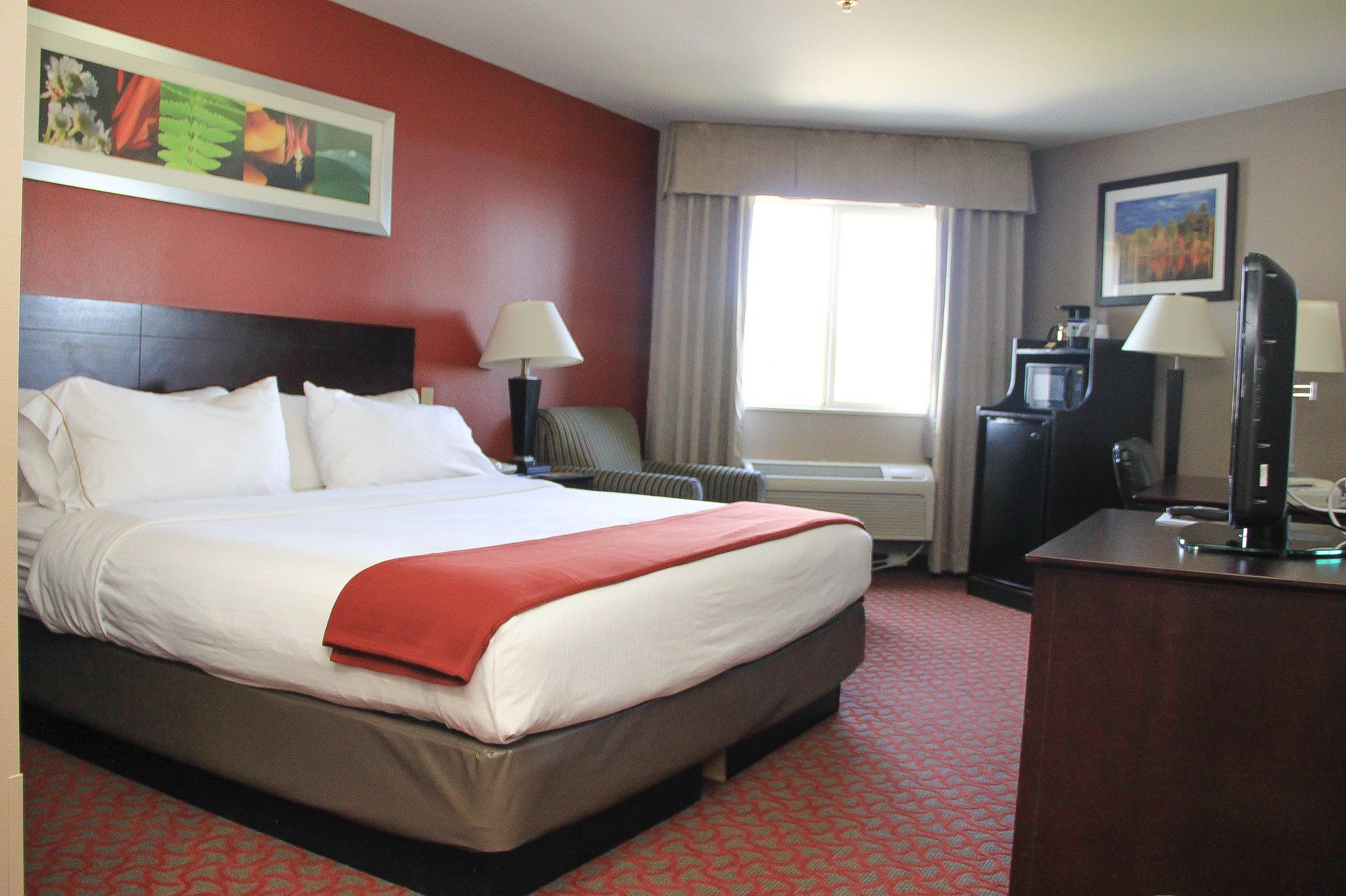Holiday Inn Express Colorado Springs Airport