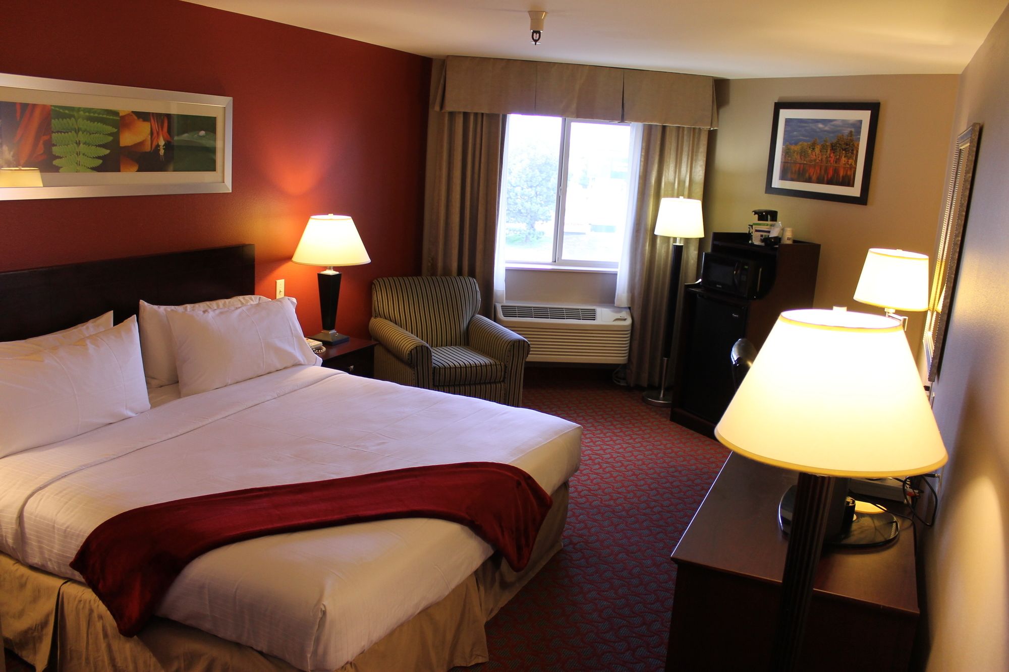 Holiday Inn Express Colorado Springs Airport