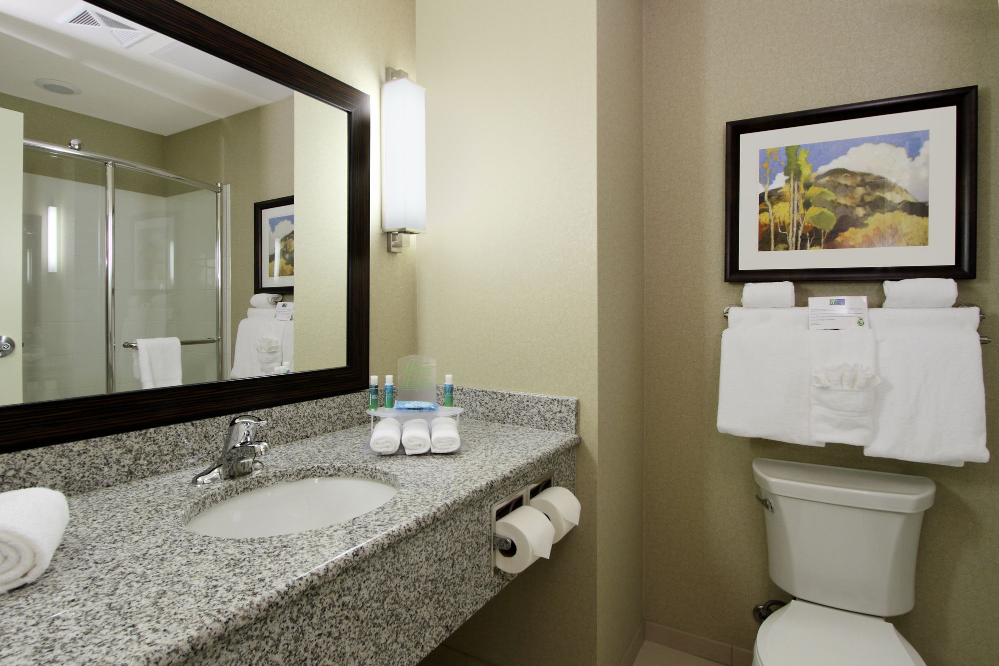 Holiday Inn Express Hotel & Suites Colorado Springs - First & Main