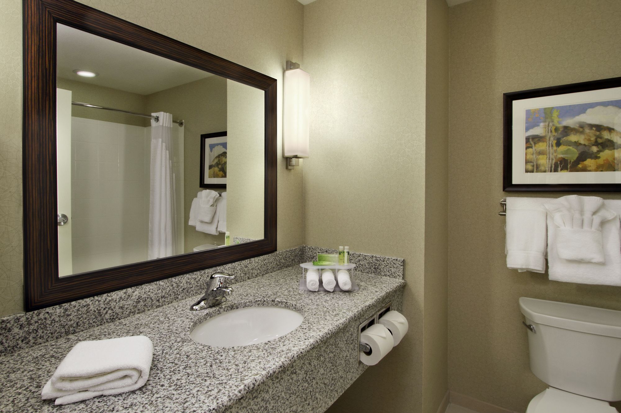 Holiday Inn Express Hotel & Suites Colorado Springs - First & Main