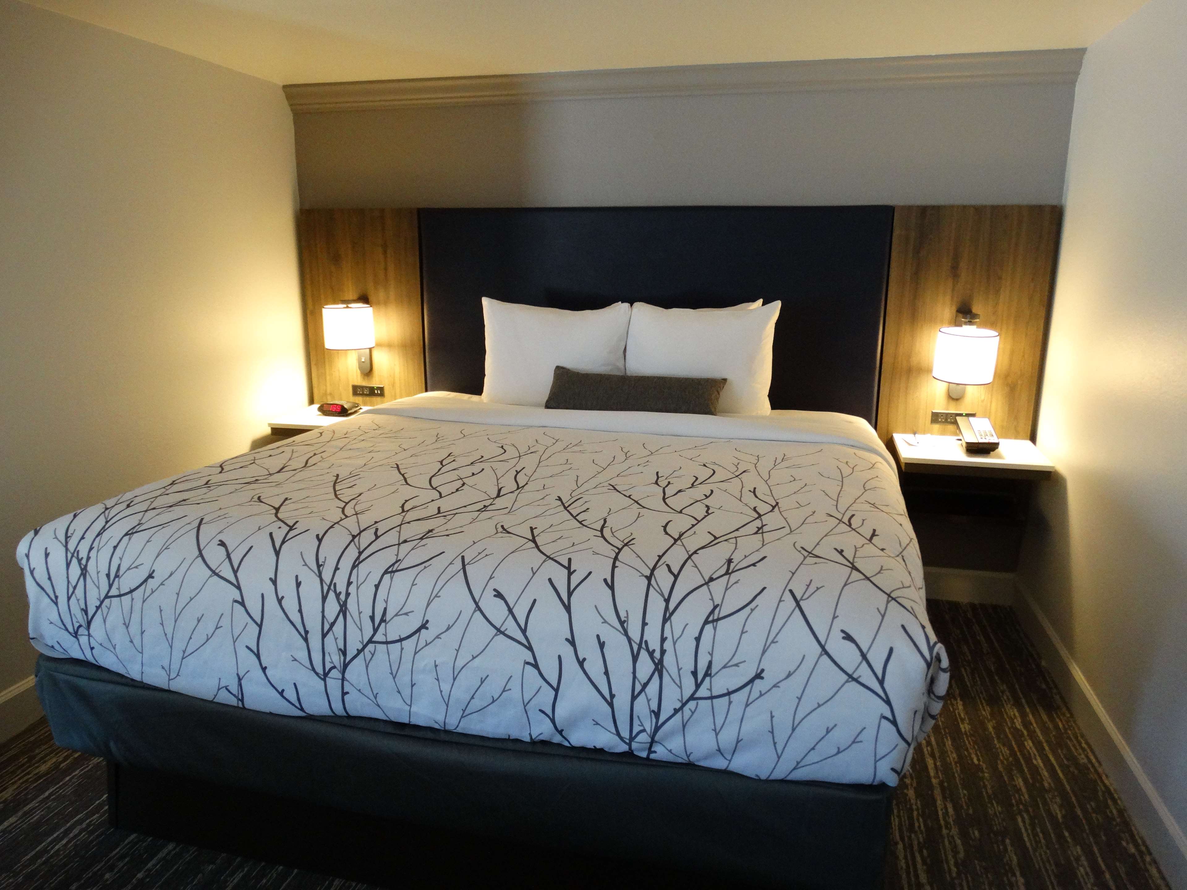 Best Western Premier Denver East