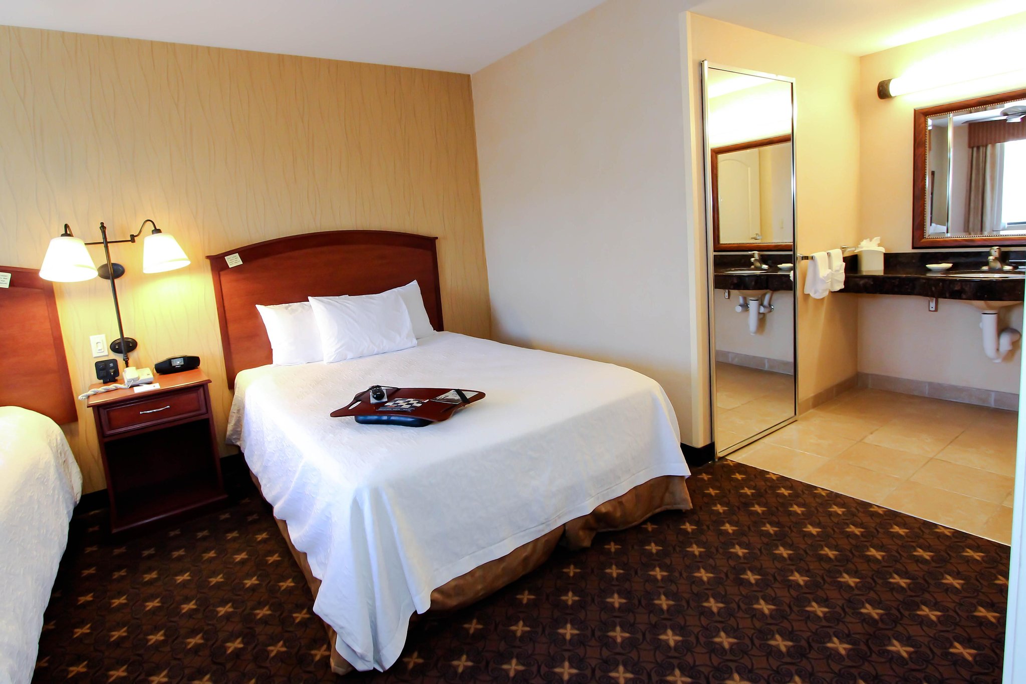Hampton Inn & Suites Denver-Speer Boulevard