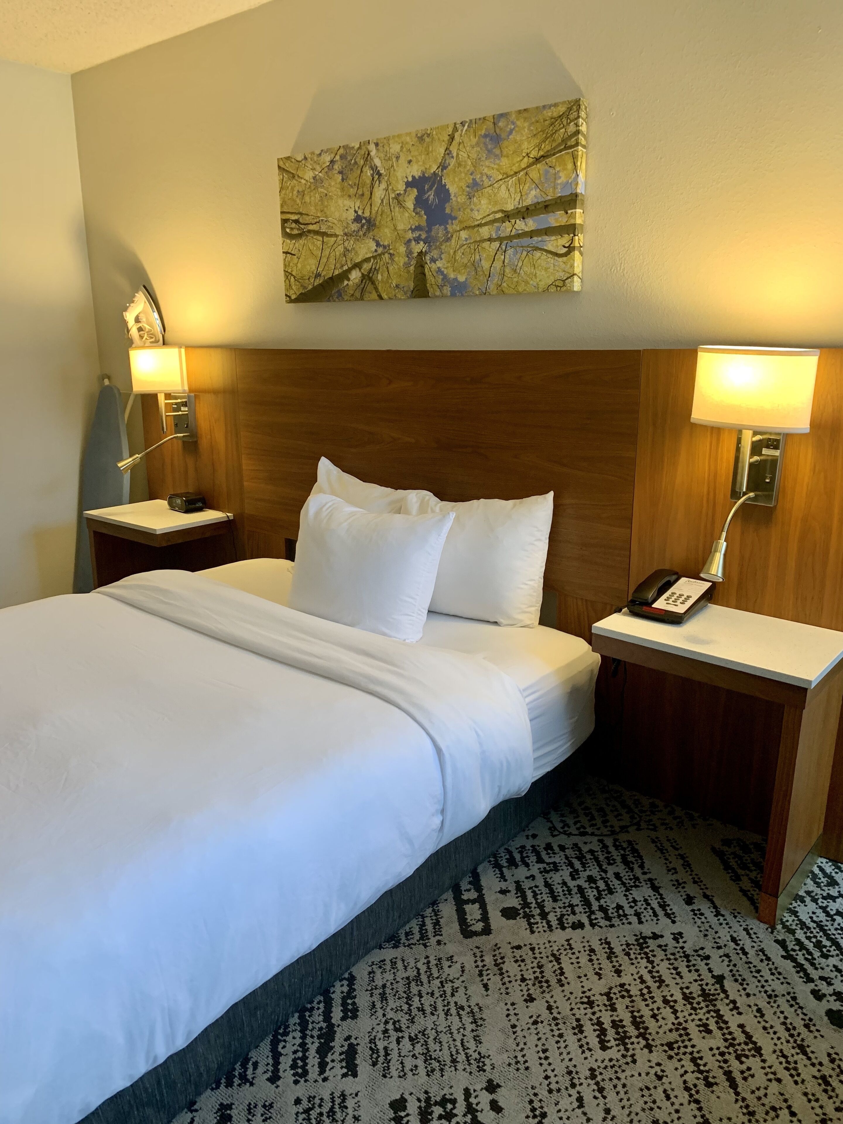 Plaza Hotel Denver Central