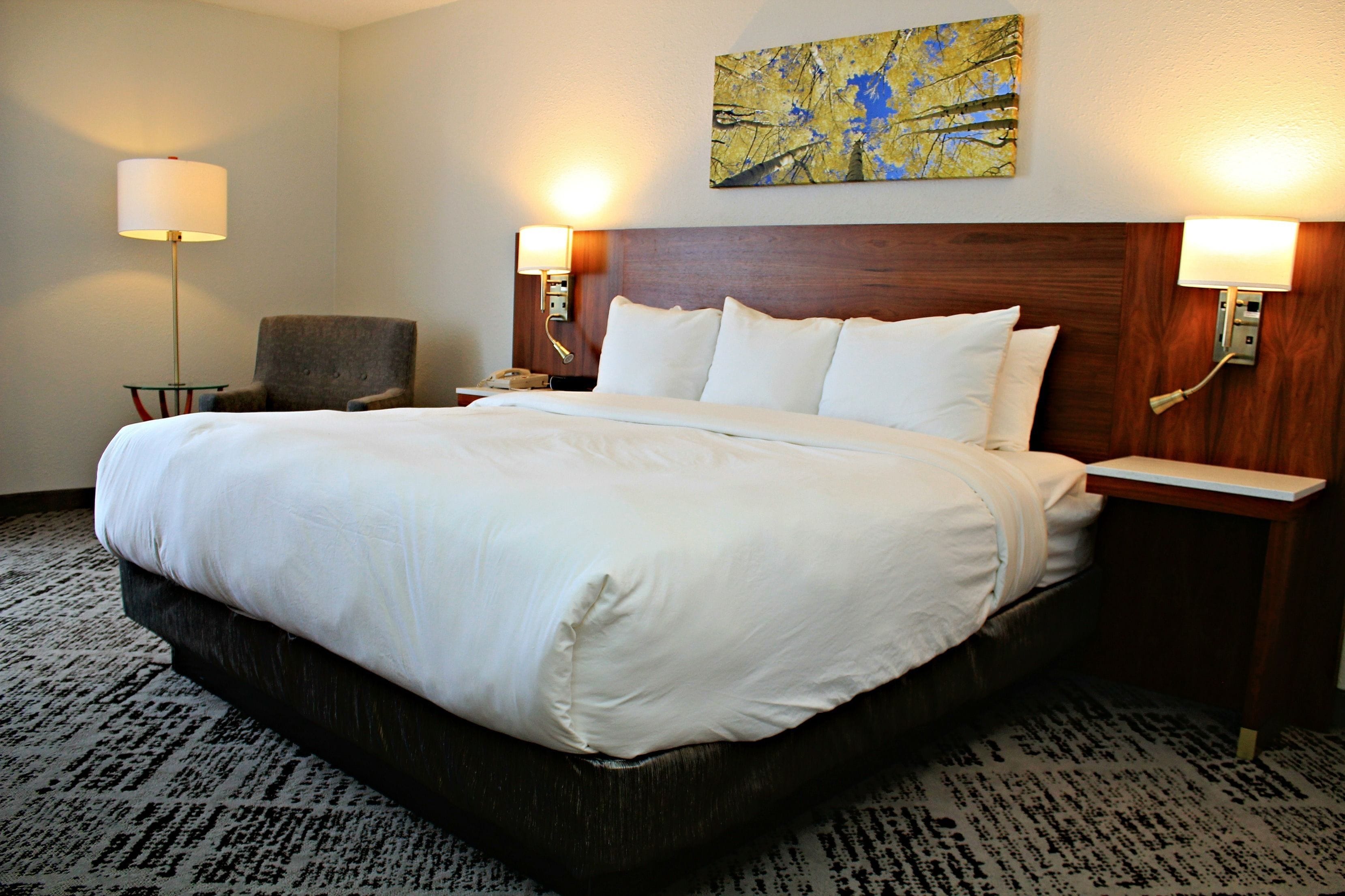 Plaza Hotel Denver Central