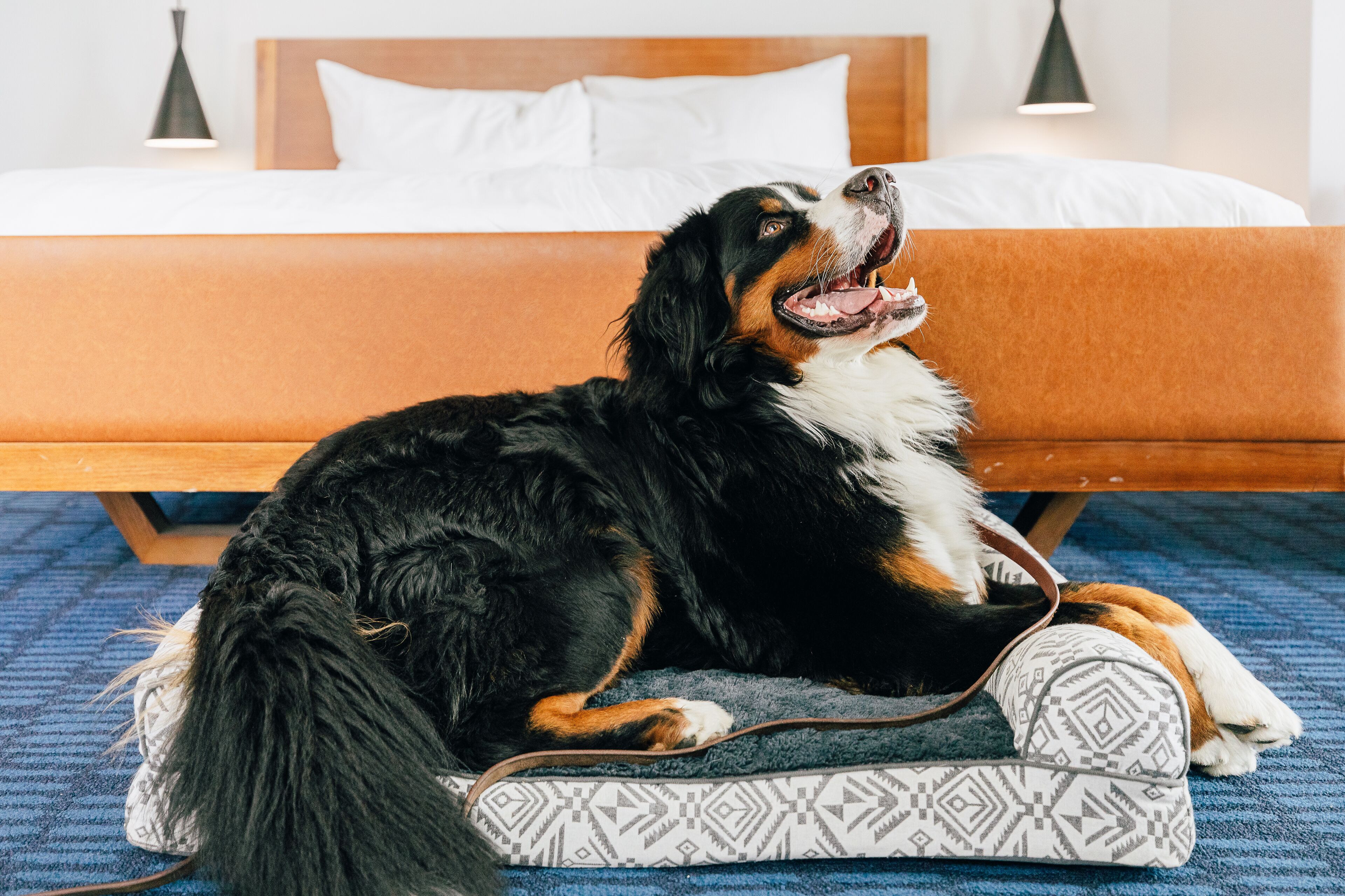The Maven Hotel