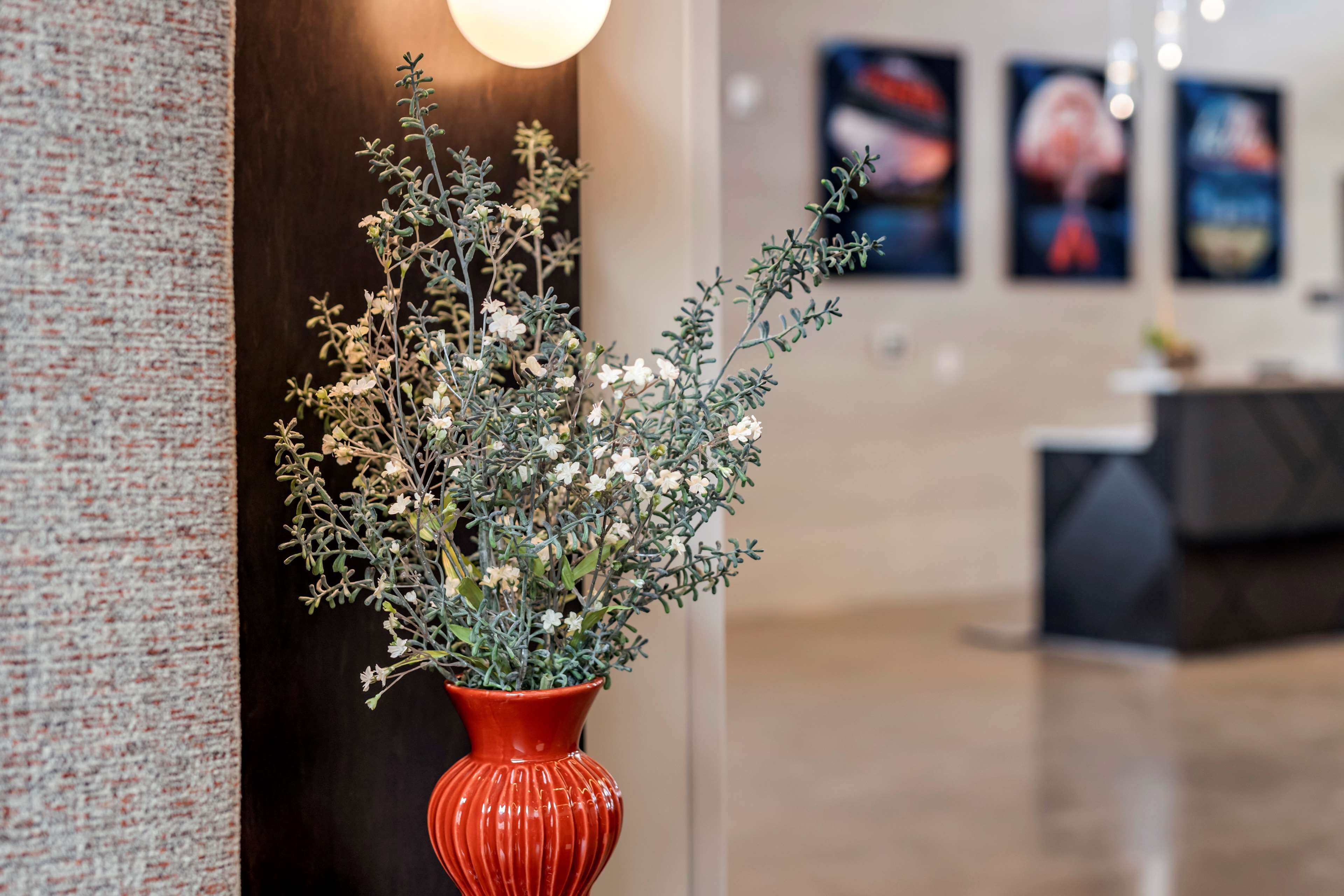 Vib Best Western Denver/RiNo