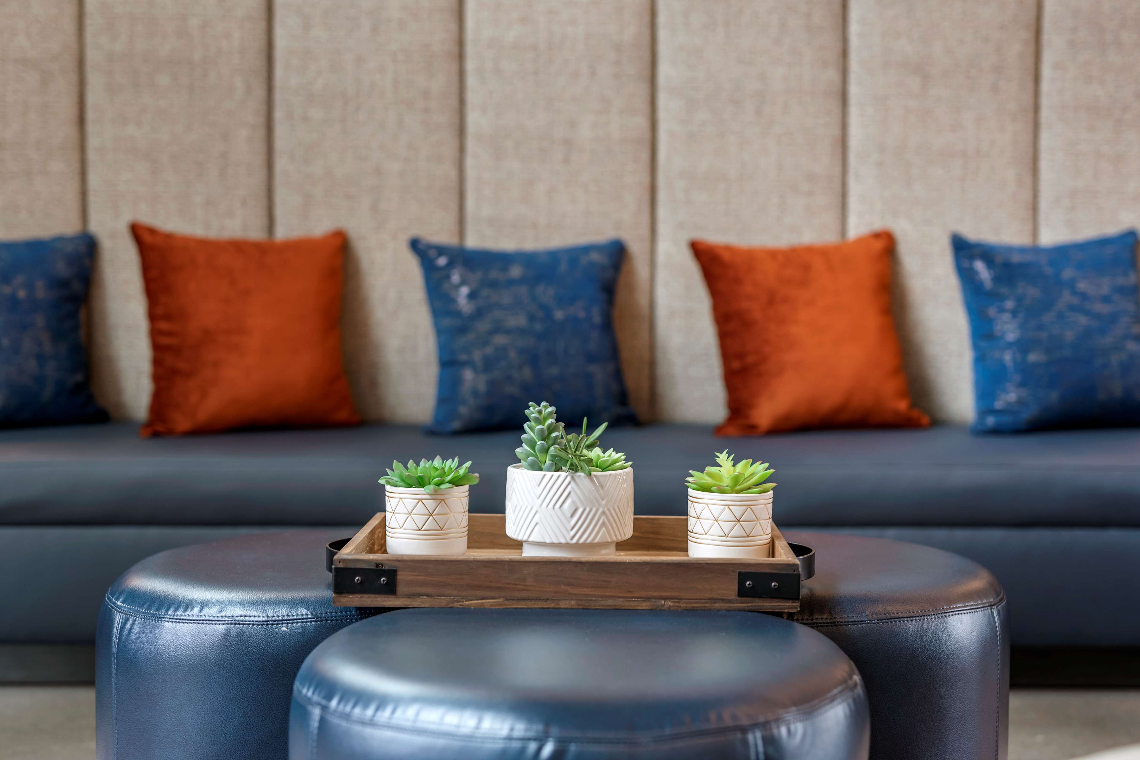Vib Best Western Denver/RiNo
