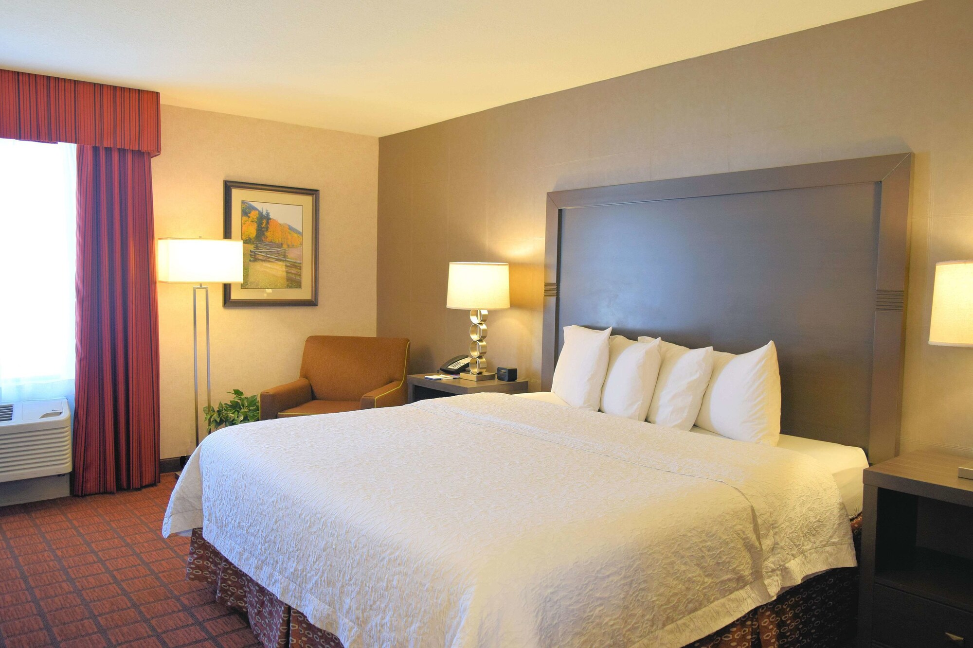 Hampton Inn Durango