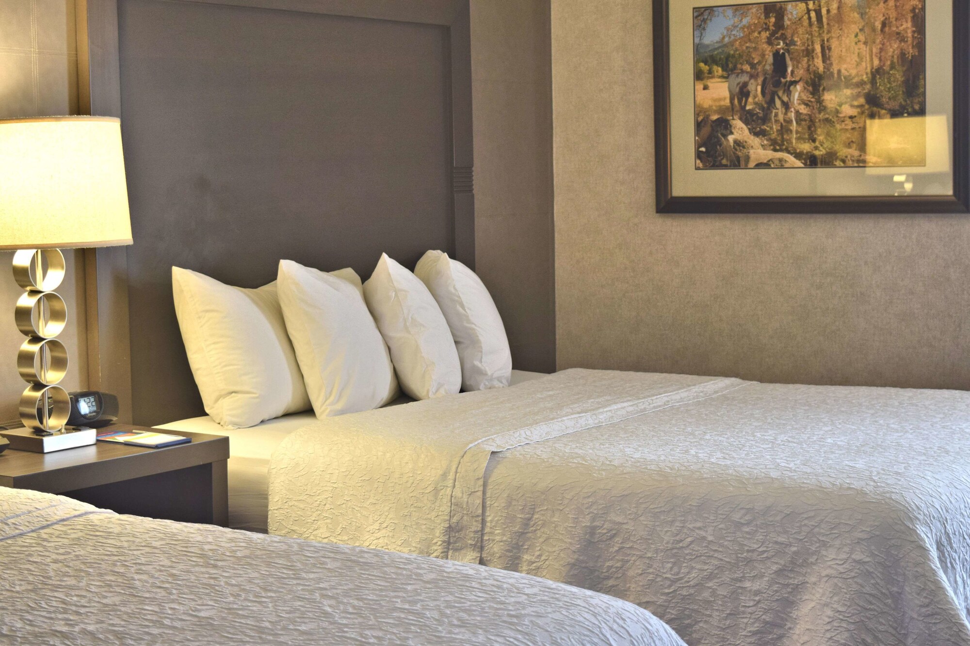 Hampton Inn Durango